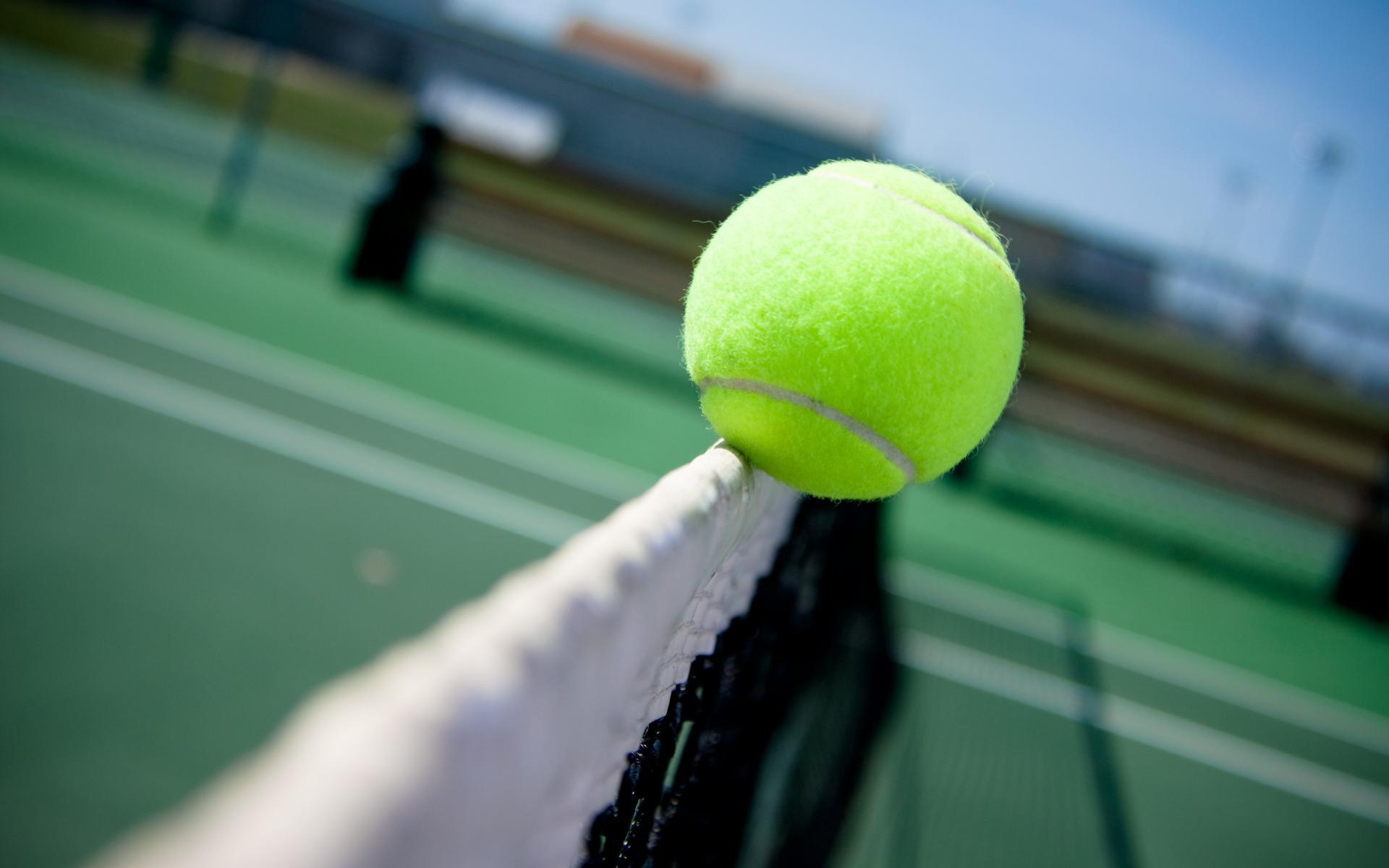 100000 ảnh đẹp nhất về Bóng Tennis  Tải xuống miễn phí 100  Ảnh có sẵn  của Pexels