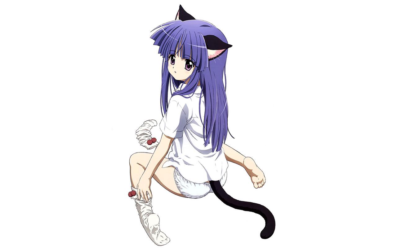 1280x800 Free download anime wallpaper cat girl cat girl wallpaper download [1280x800] for your Desktop, Mobile & Tablet. Explore Anime Cat Girl Wallpaper. Anime Girl HD Wallpaper 1080p, Cute Anime
