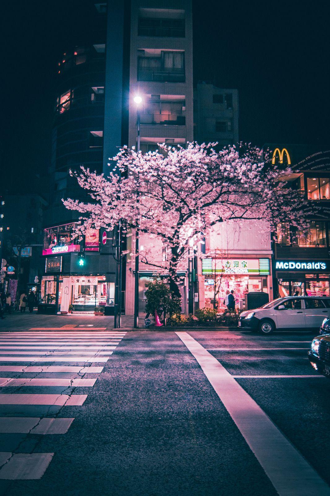 1066x1600 Free download Chuo Tokyo Japan Aesthetic japan Sky aesthetic City aesthetic [1066x1600] for your Desktop, Mobile & Tablet. Explore Japanese Aesthetic Wallpaper. Japanese Aesthetic Wallpaper, Aesthetic Wallpaper, Japanese Wallpaper