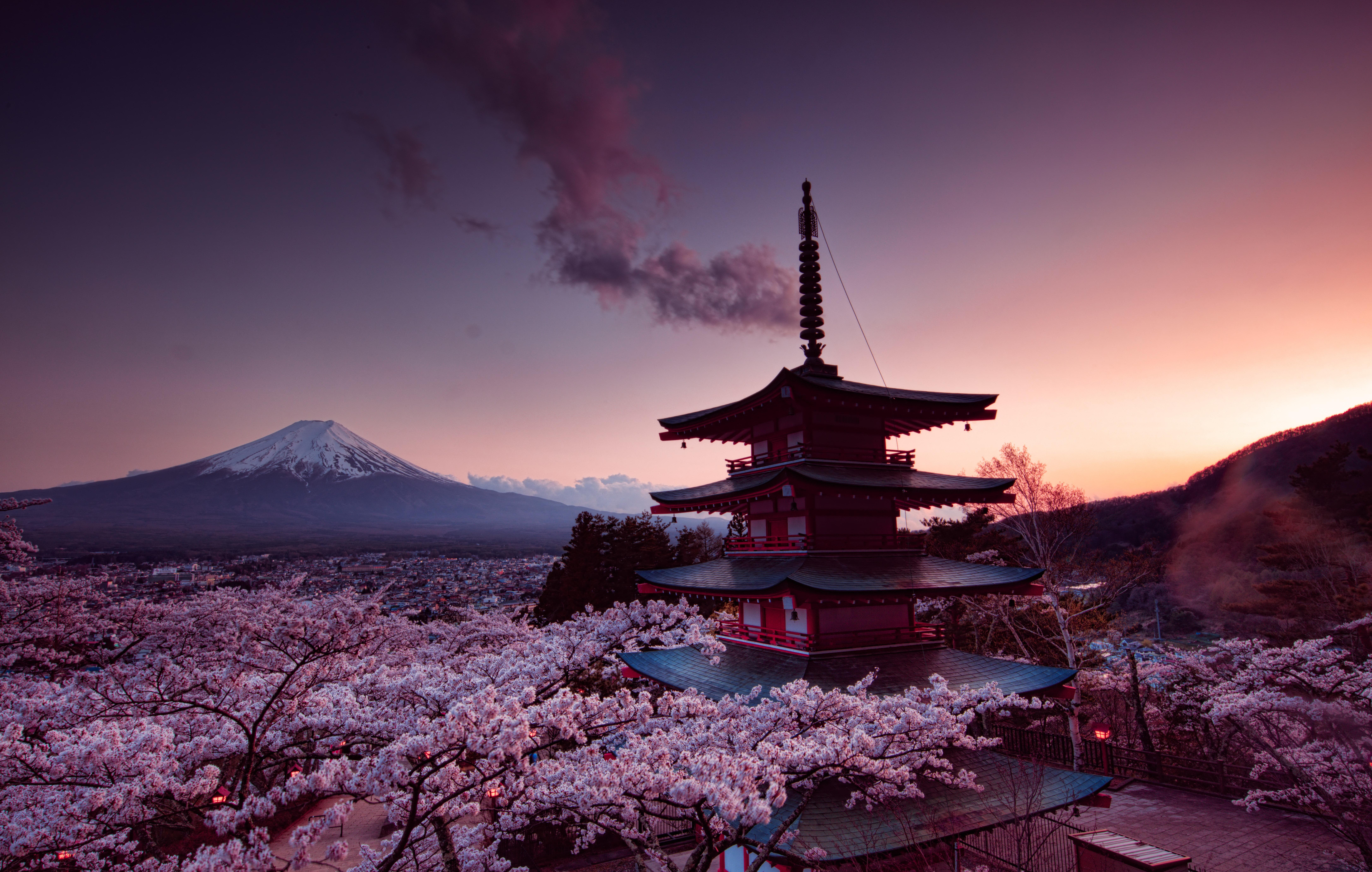 8688x5520 japanese wallpaper, sky, flower, cherry blossom, blossom, pagoda