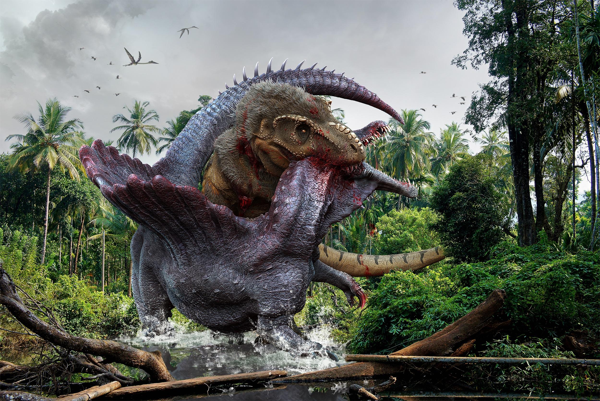 2500x1672 dinosaur wallpaper, dinosaur, velociraptor, tyrannosaurus, extinction, wildlife