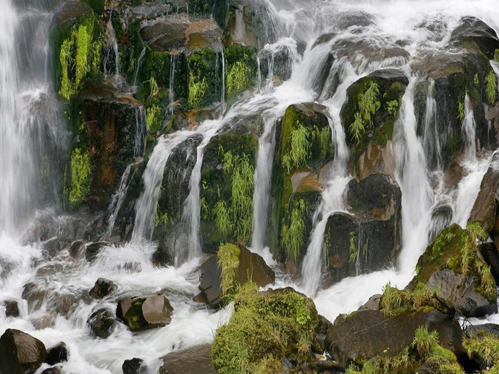 1920x1440 New Zealand North Island Waipunga Falls Between Roturua And Napier 1563 :