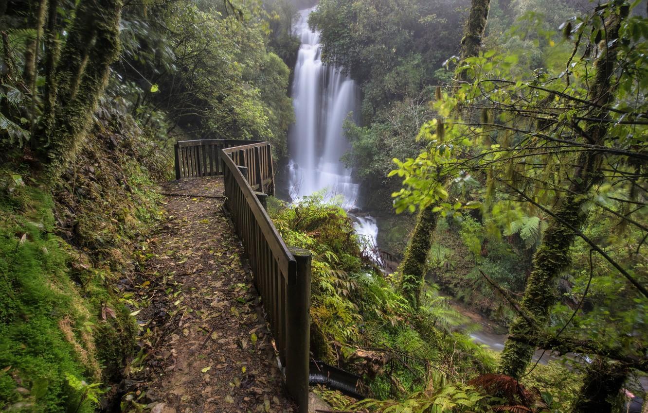 1332x850 Cascades In Forest Wallpaper