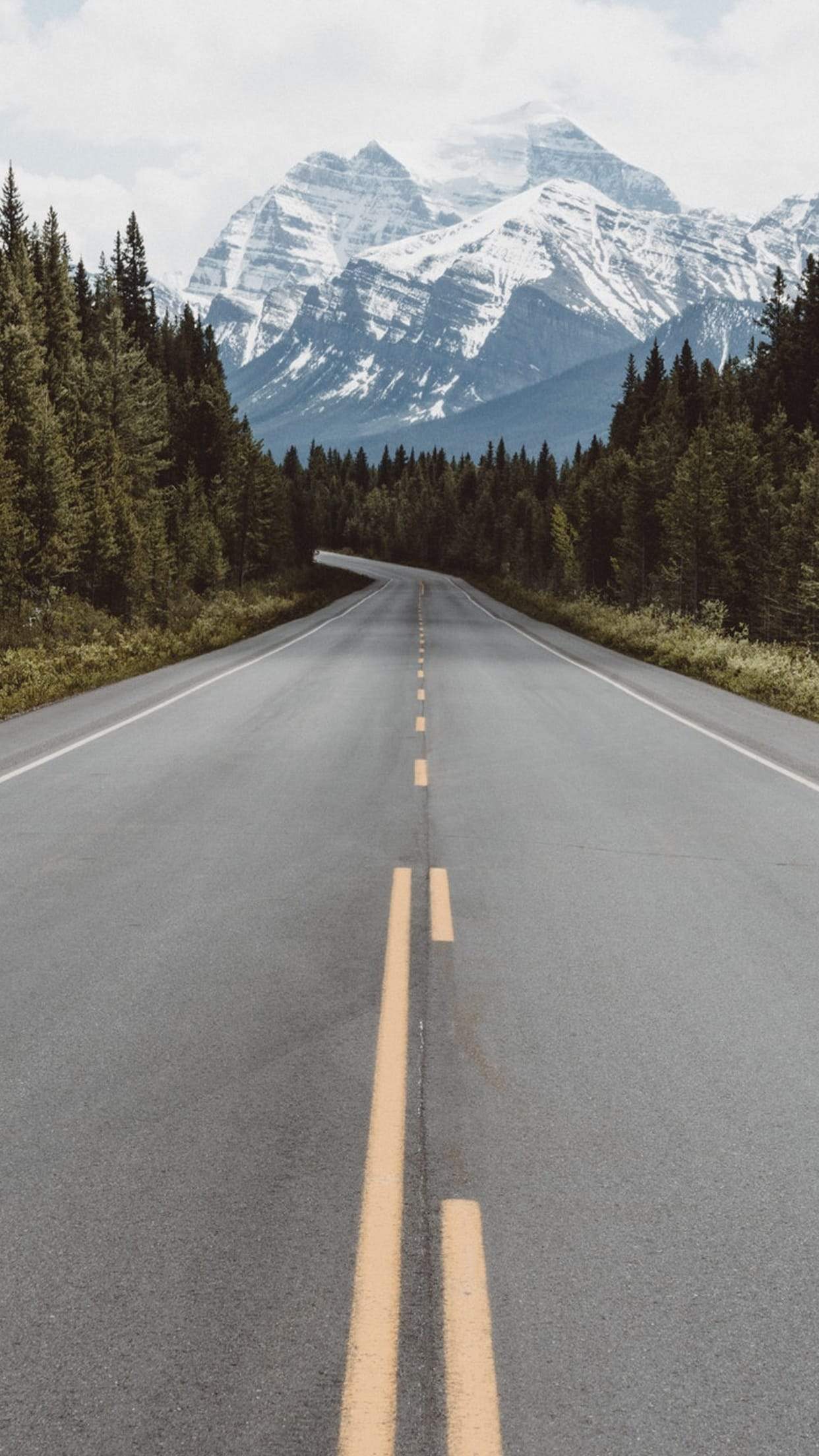 1242x2208 Cycling iPhone Wallpaper