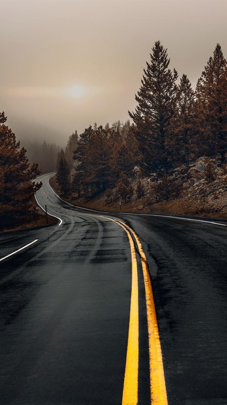 750x1334 Wet Road, Trees, Fog, Morning, Autumn 750x1334 IPhone 8 7 6 6S Wallpaper, Background, Picture, Image