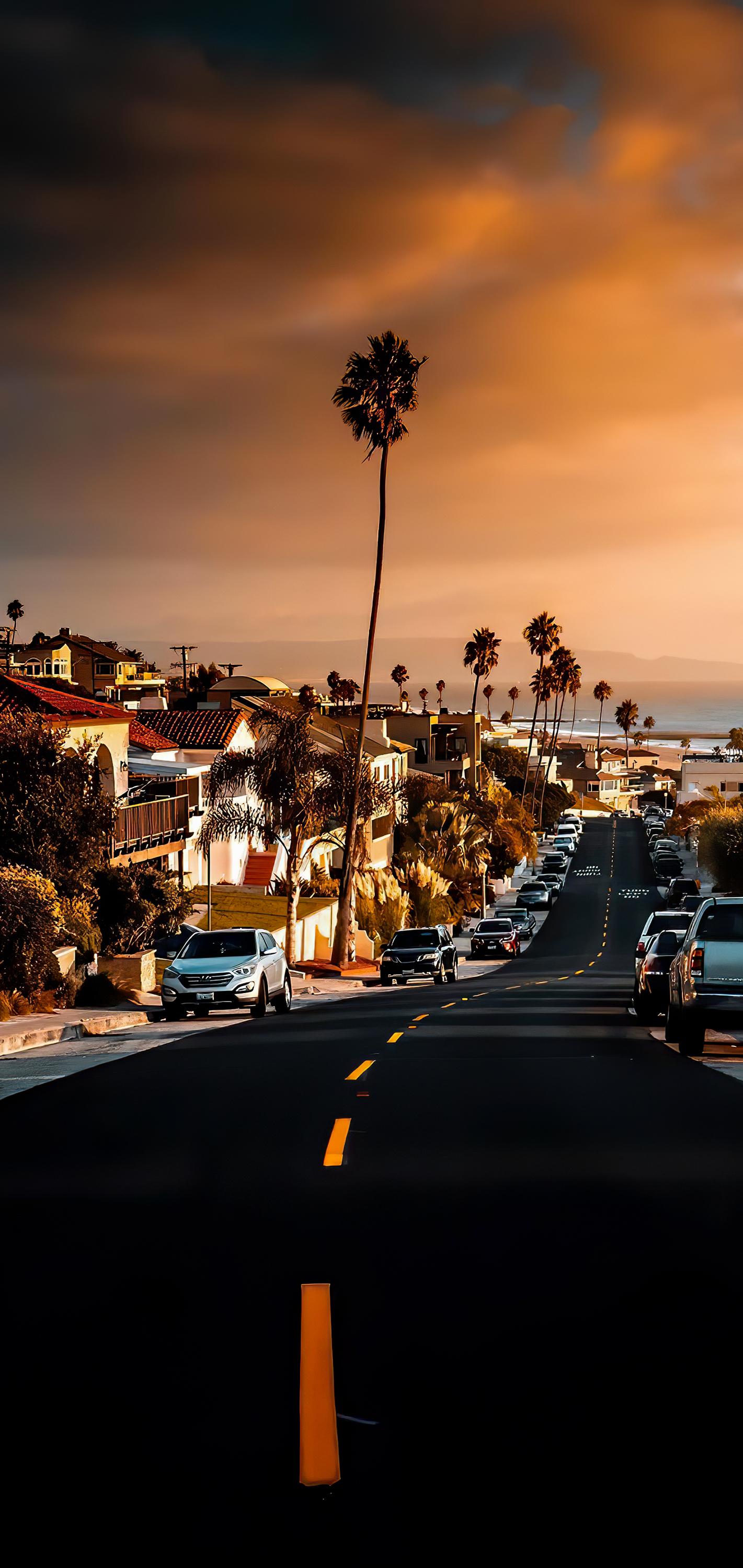 1421x3000 Wallpaper of the week: along the roads