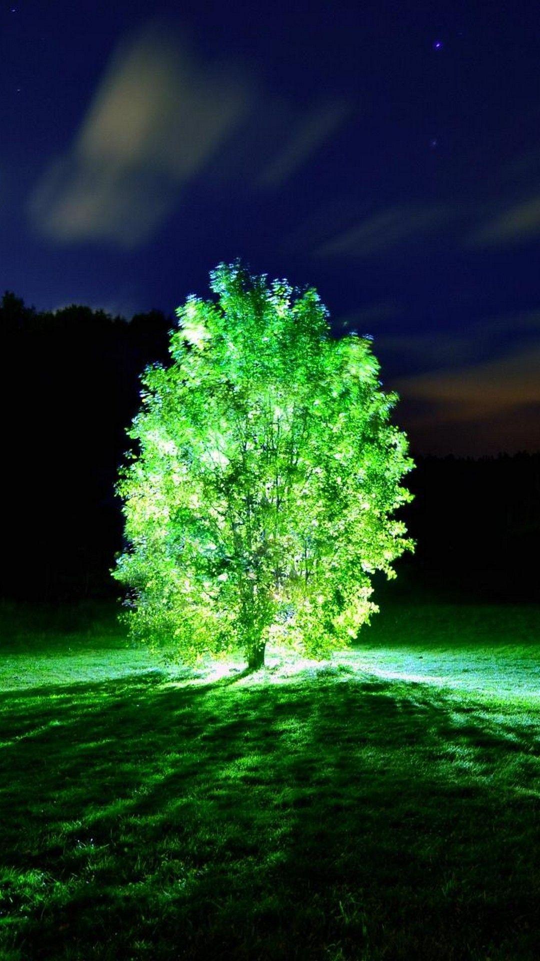 1080x1920 Glow In The Dark Phone Wallpaper