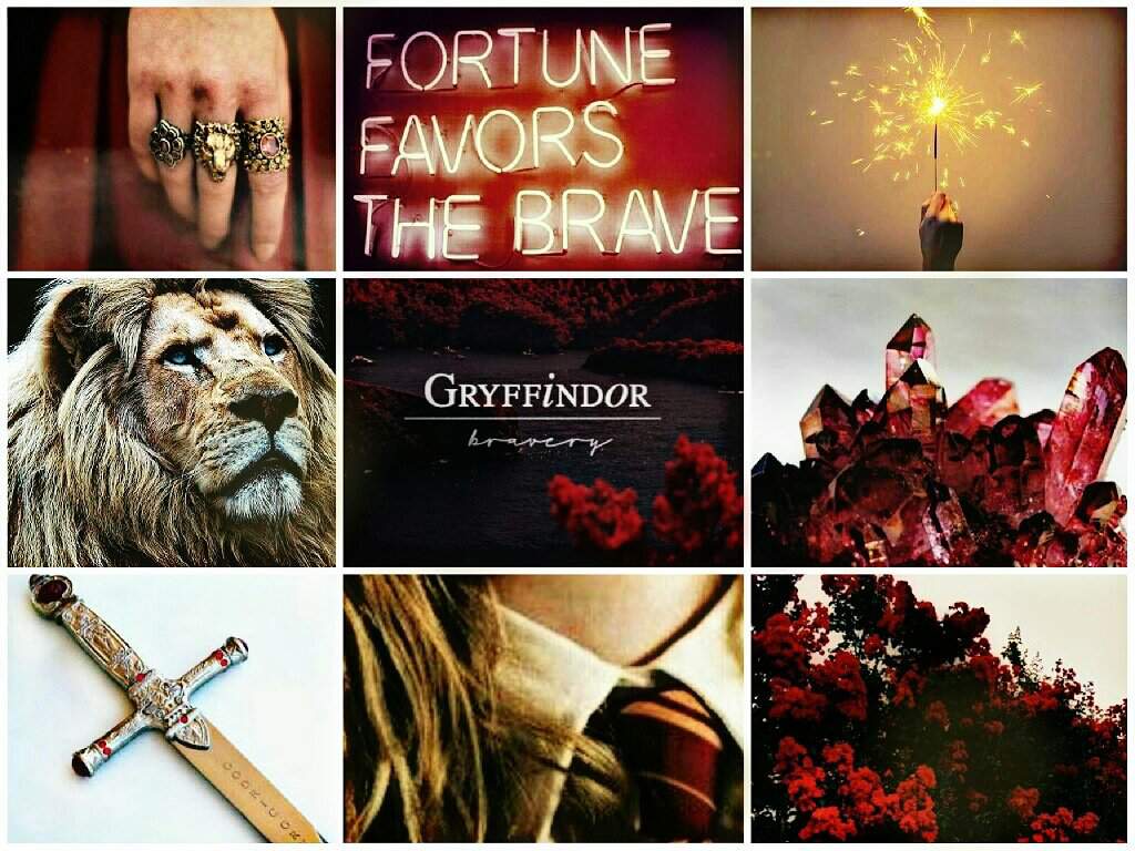 1024x768 Gryffindor Aesthetics Wallpaper