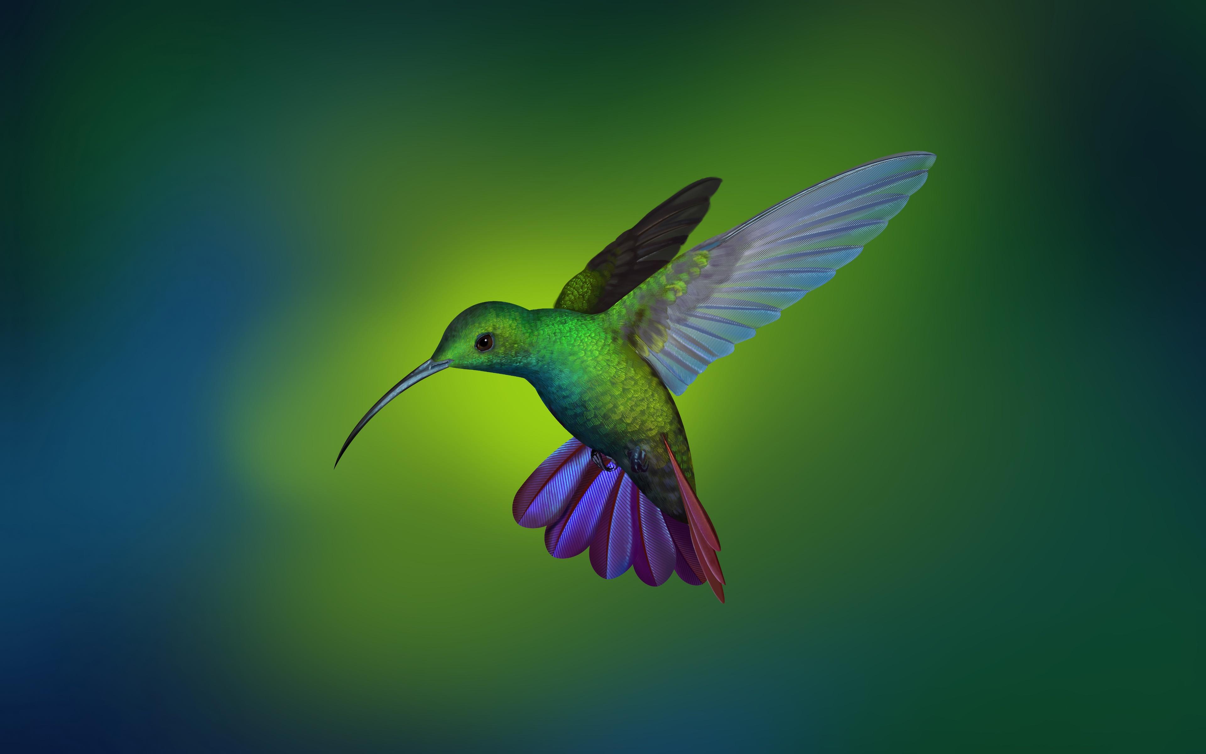 3840x2400 Download Hummingbird, Arch Linux, stock wallpaper, 3840x 4K Ultra HD 16: Widescreen