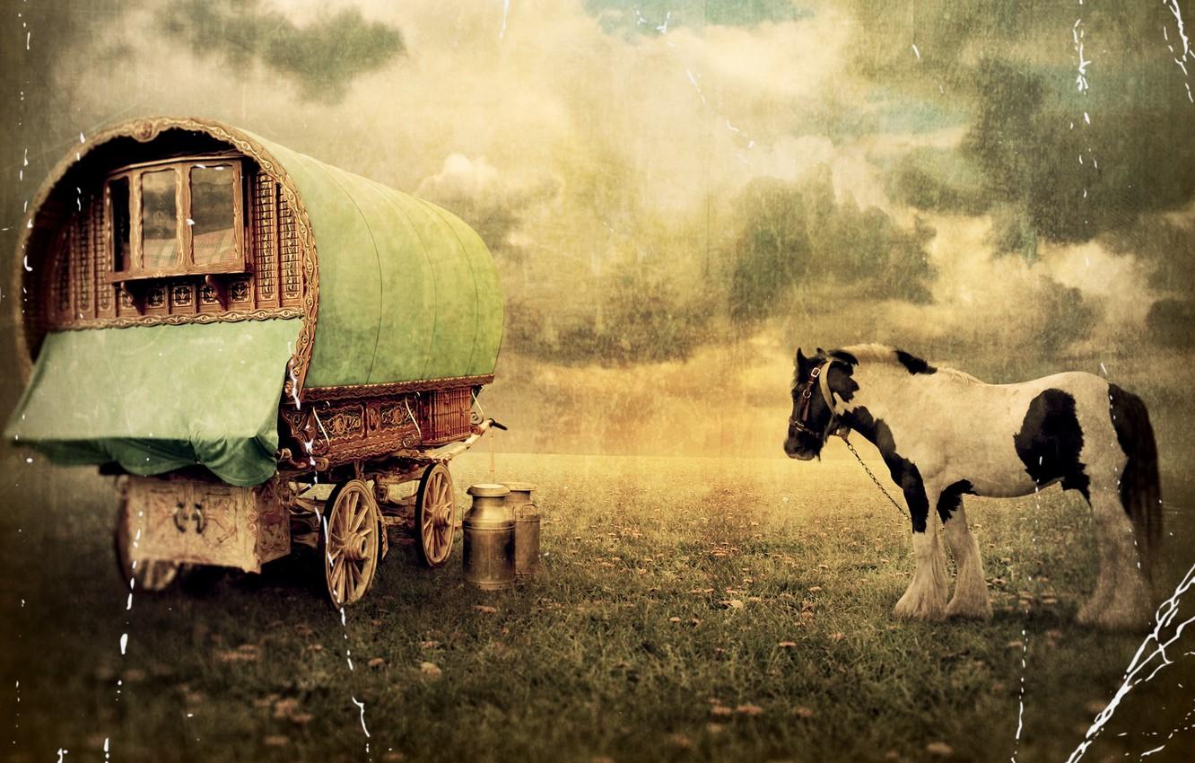 1332x850 Wallpaper horse, old photo, wagon, vintage, cans image for desktop, section разное