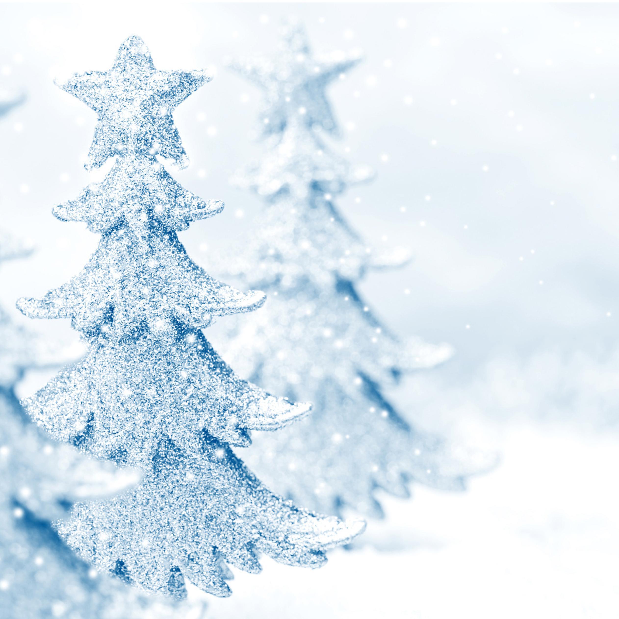 2524x2524 Wonderful white Christmas tree