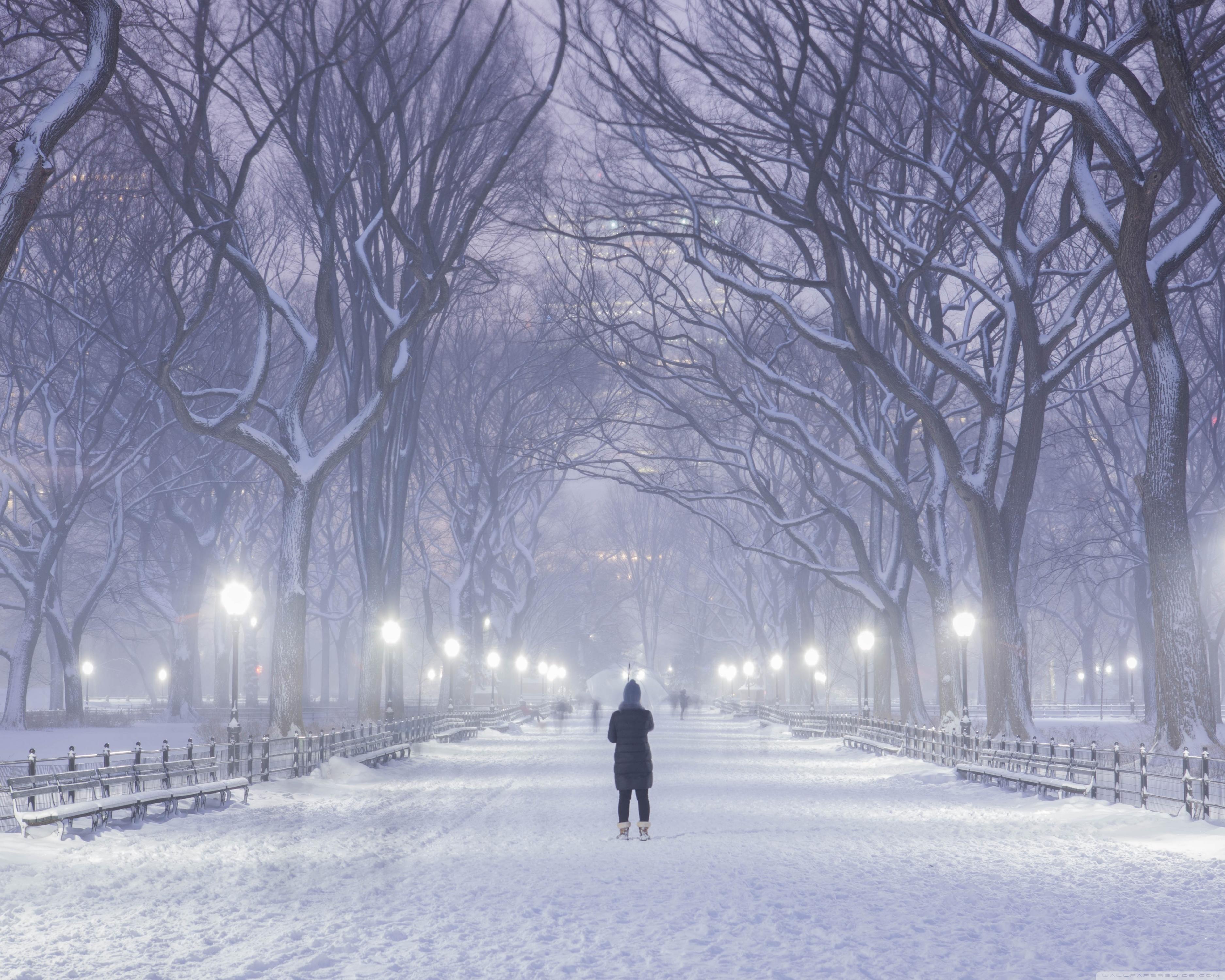 3750x3000 Central Park, New York City, Winter Background Ultra HD Desktop Background Wallpaper for 4K UHD TV : Widescreen & UltraWide Desktop & Laptop : Tablet