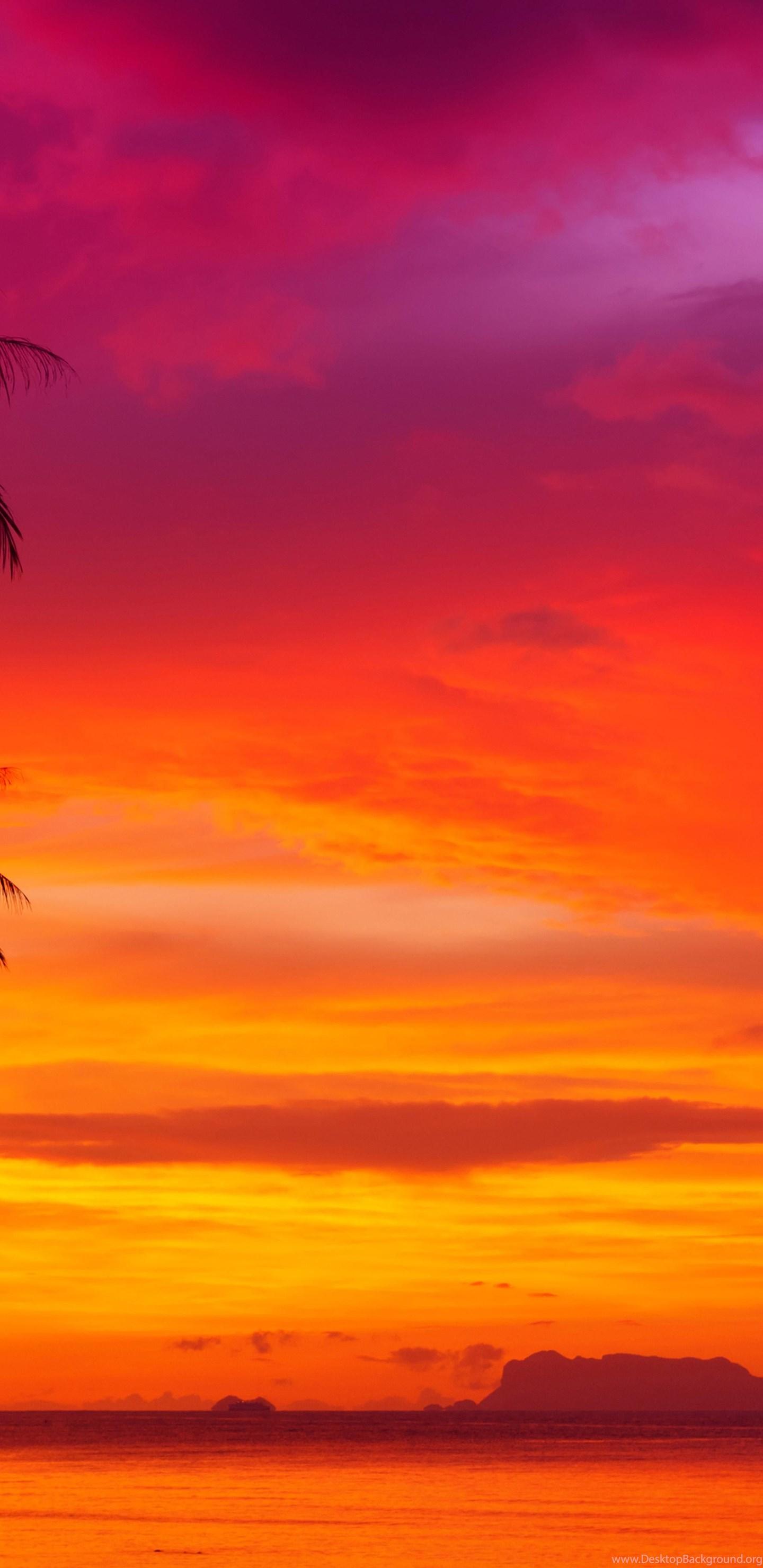 1440x2960 Sunset Wallpaper Cool Desktop Background