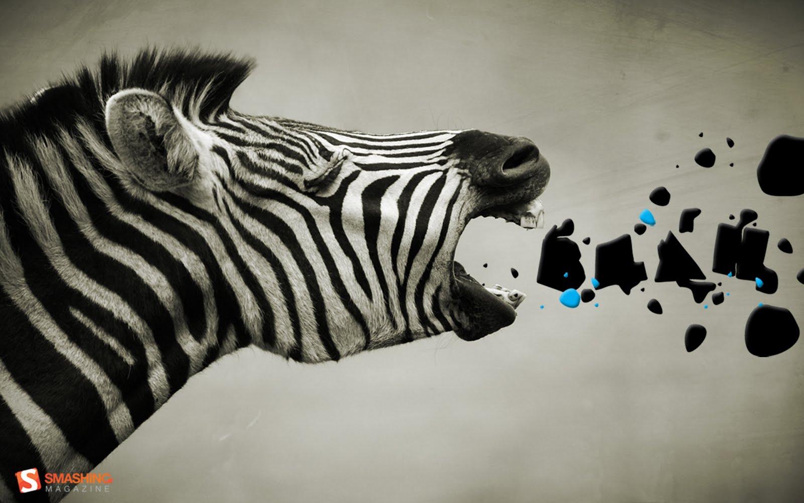 Zebra Desktop Backgrounds 71 images
