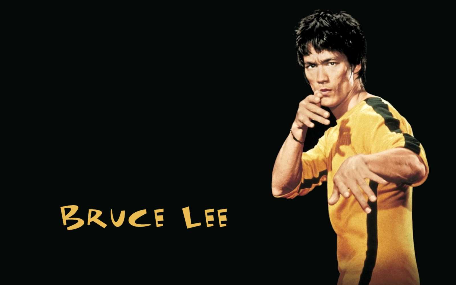 1600x1000 Bruce Lee Wallpaper PC Free HD Wallpaper