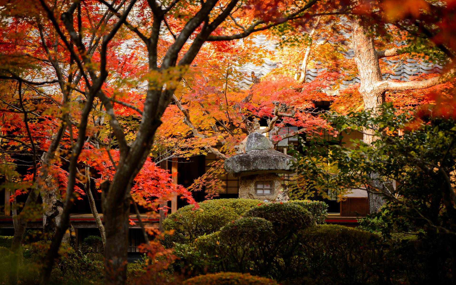 1920x1200 Download Kyoto Mobile iPhone iPad Image Desktop Wallpaper