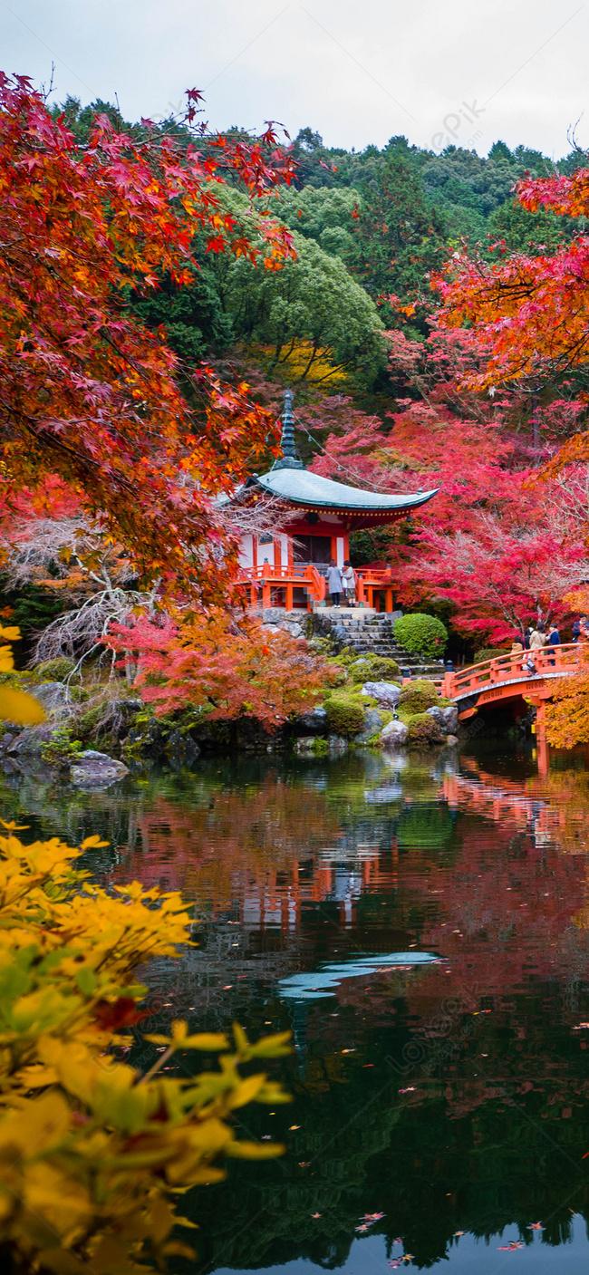 650x1407 Autumn Mobile Phone Wallpaper In Kyoto Background Image Free Download
