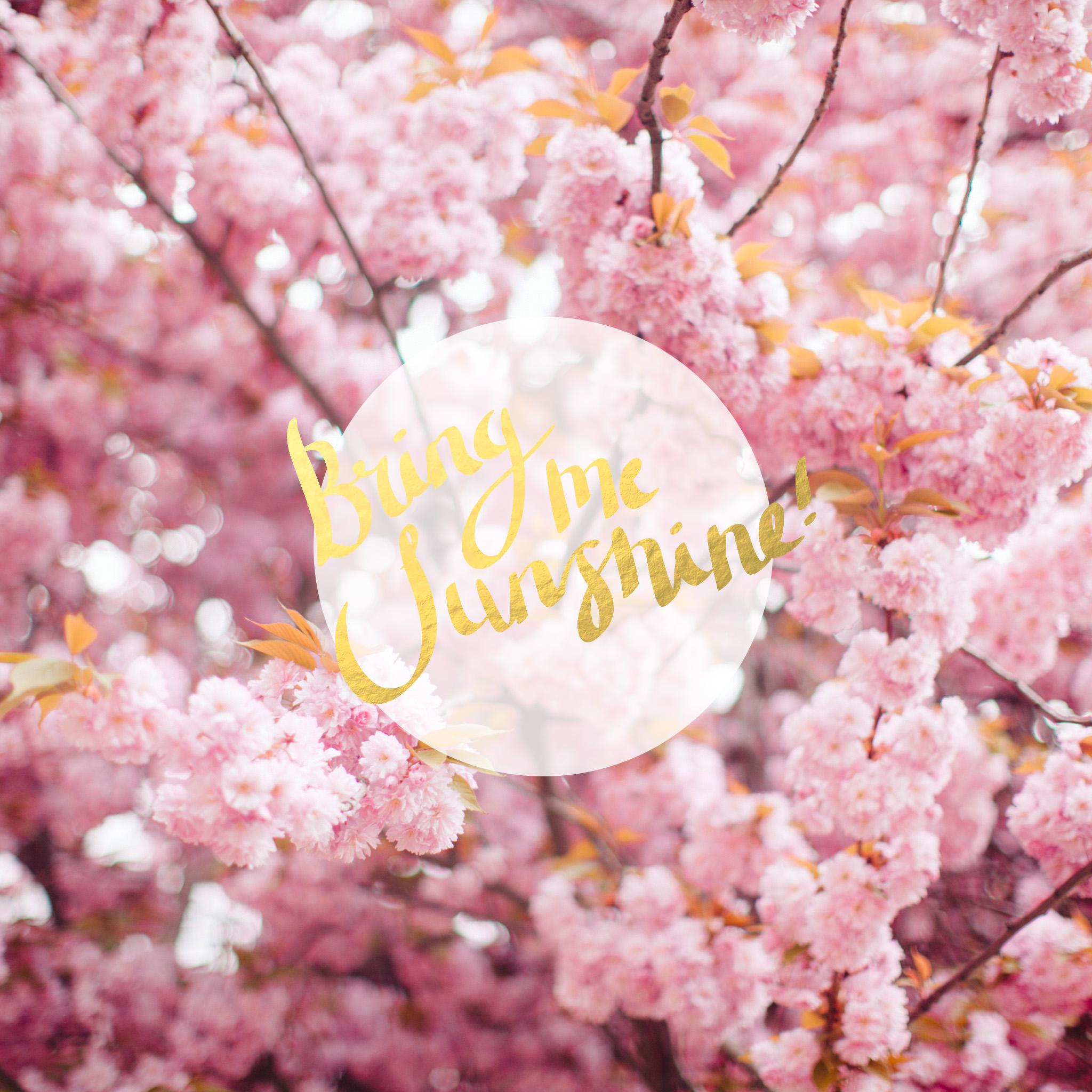 Hello Sunshine Wallpapers - Top Free Hello Sunshine Backgrounds