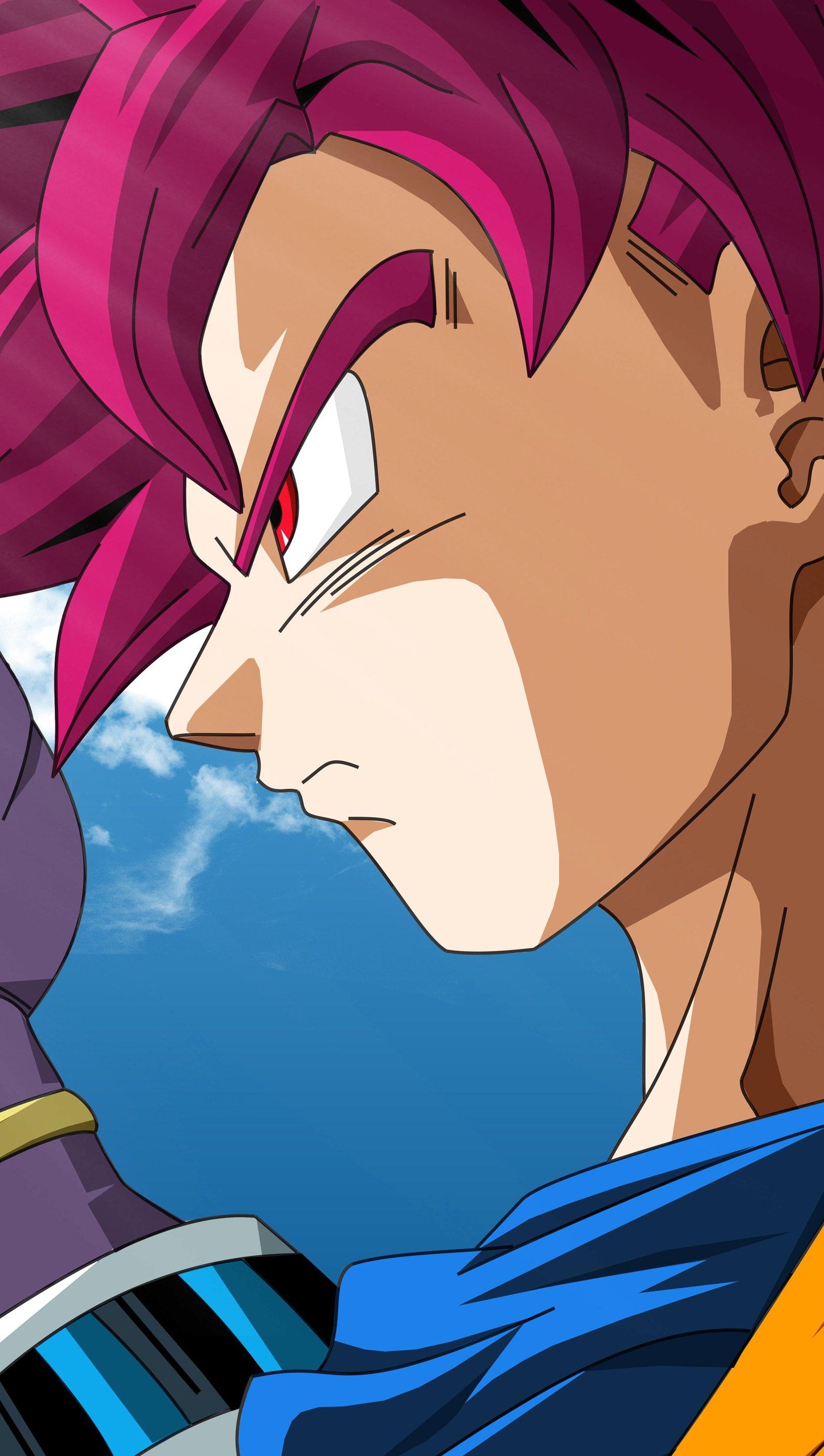 1630x2880 Beerus and Goku Super Saiyan God Anime Wallpaper 5k Ultra HD