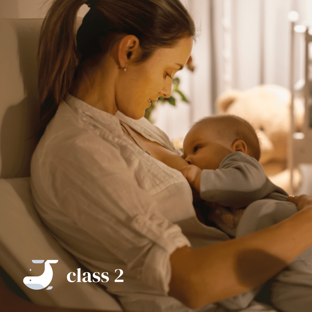 1080x1080 Prenatal Classes