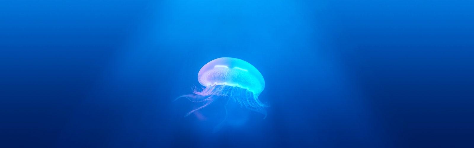 1600x500 iPad & iMac Wallpaper best free wallpaper, outdoor, background