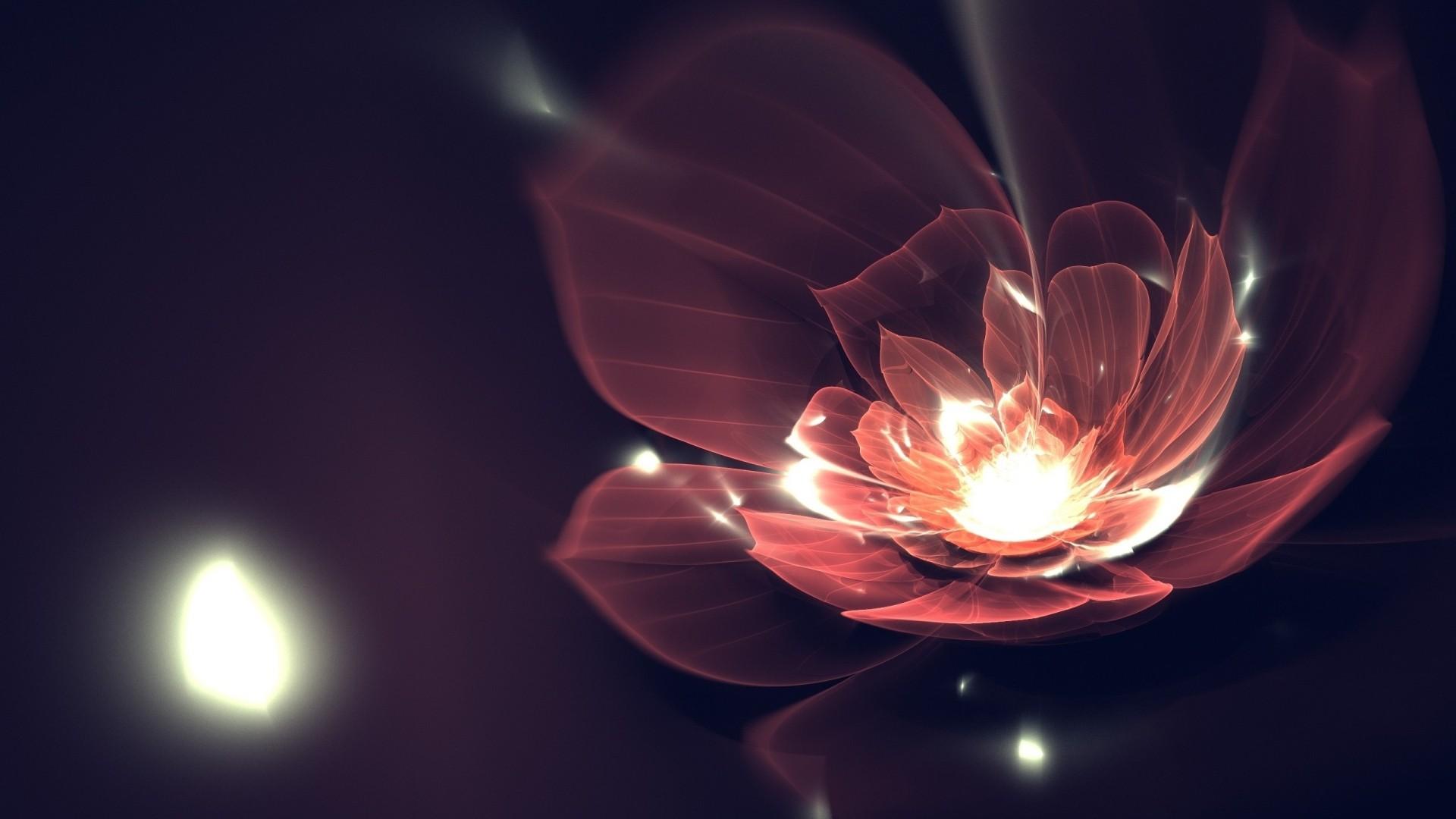 1920x1080 #flowers, #fractal, #digital art, #fractal flowers, wallpaper HD Wallpaper
