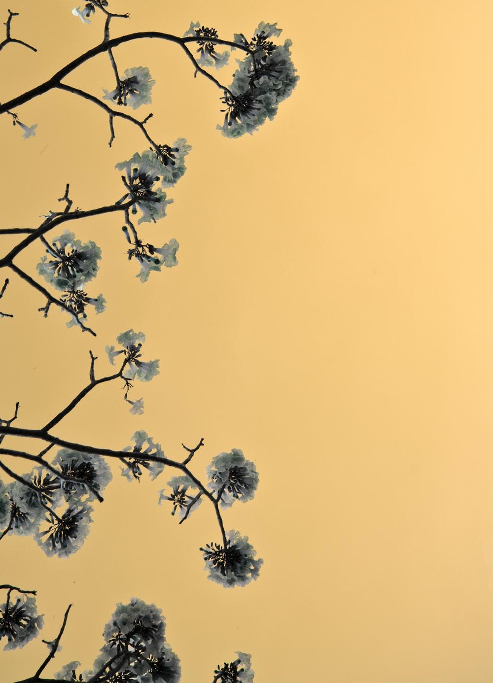 1000x1386 Japanese Art Picture. Download Free Image