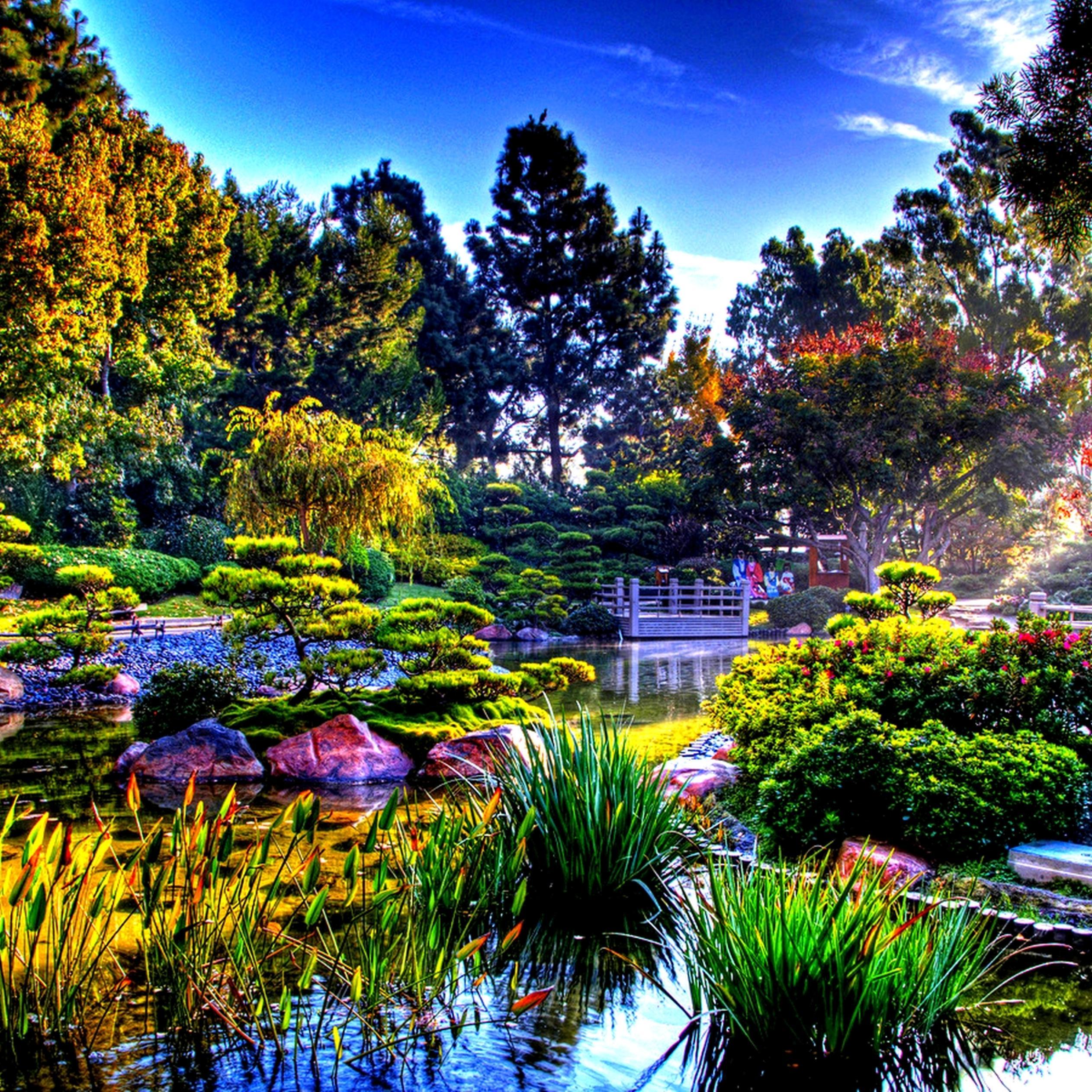 2524x2524 Colorful nature in the sun rays Garden Wallpaper