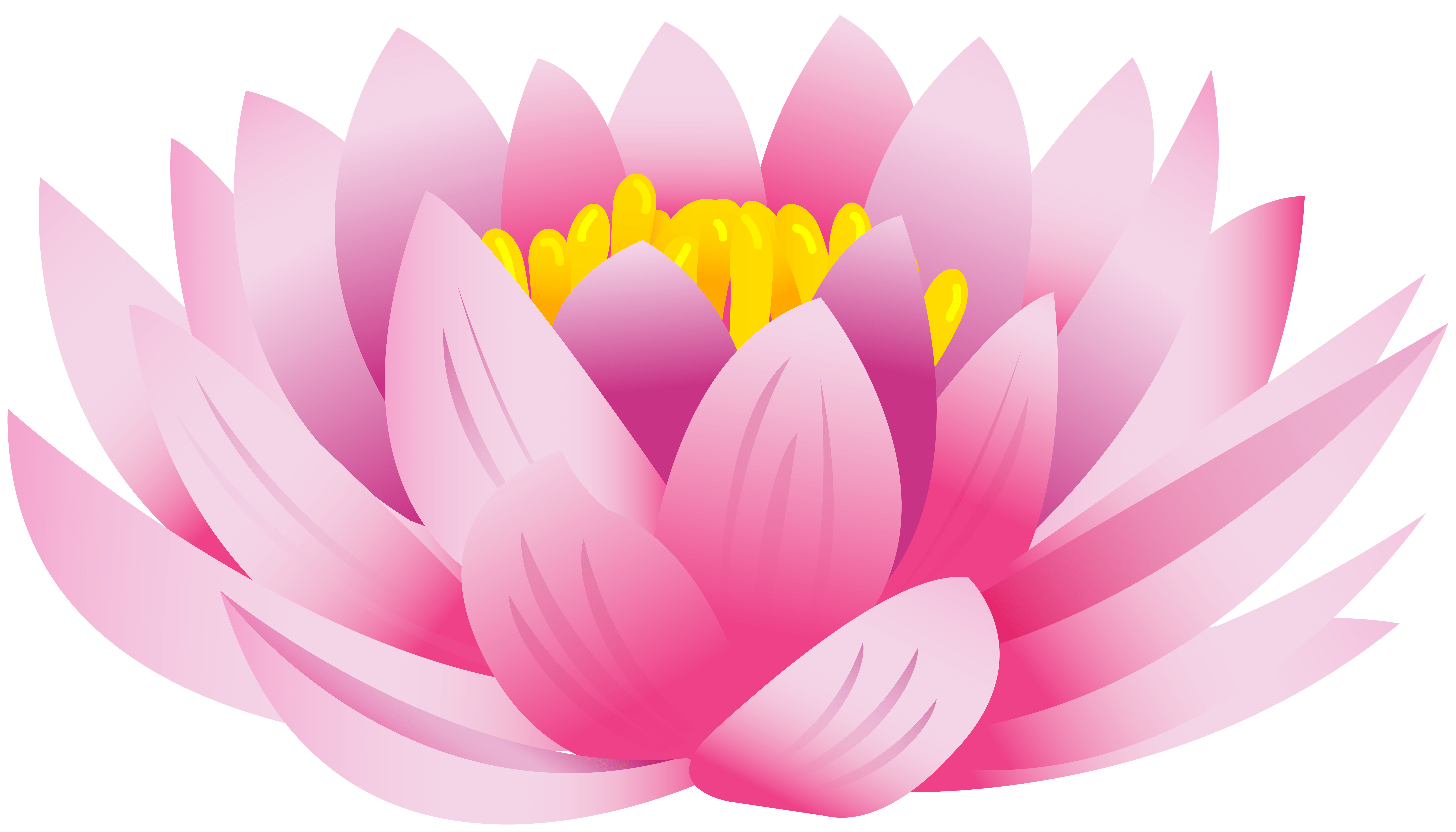 8000x4574 Nelumbo nucifera Desktop Wallpaper Clip art flower png download*4574 Transparent Nelumbo Nucifera png Download