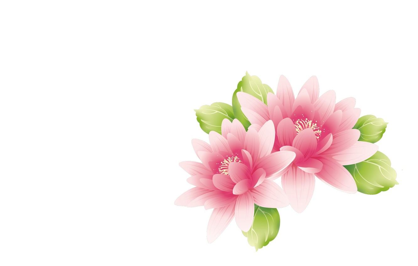 1332x850 Wallpaper flowers, art, Lotus image for desktop, section минимализм
