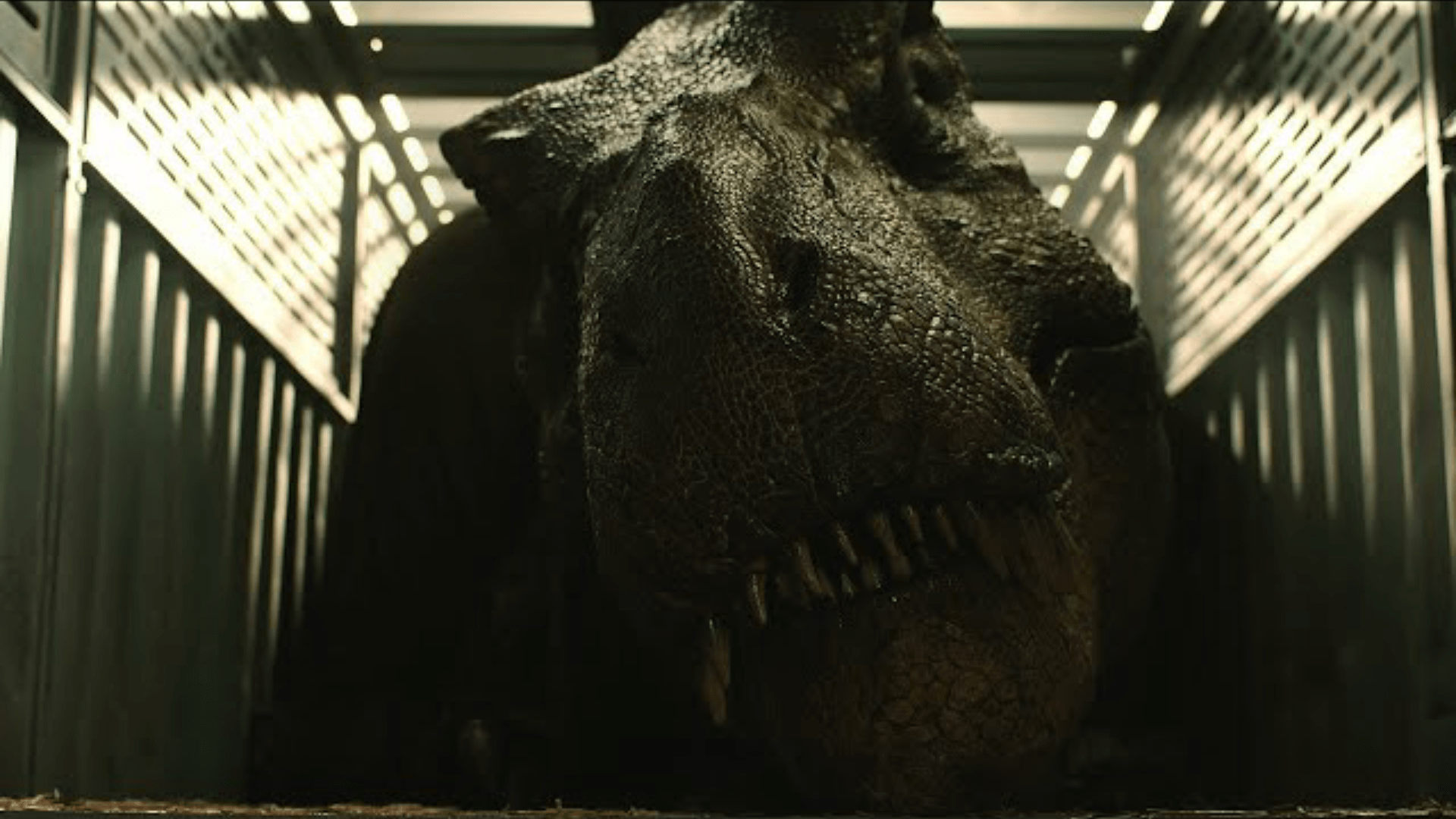 1920x1080 Rexy in Fallen Kingdom Park Photo
