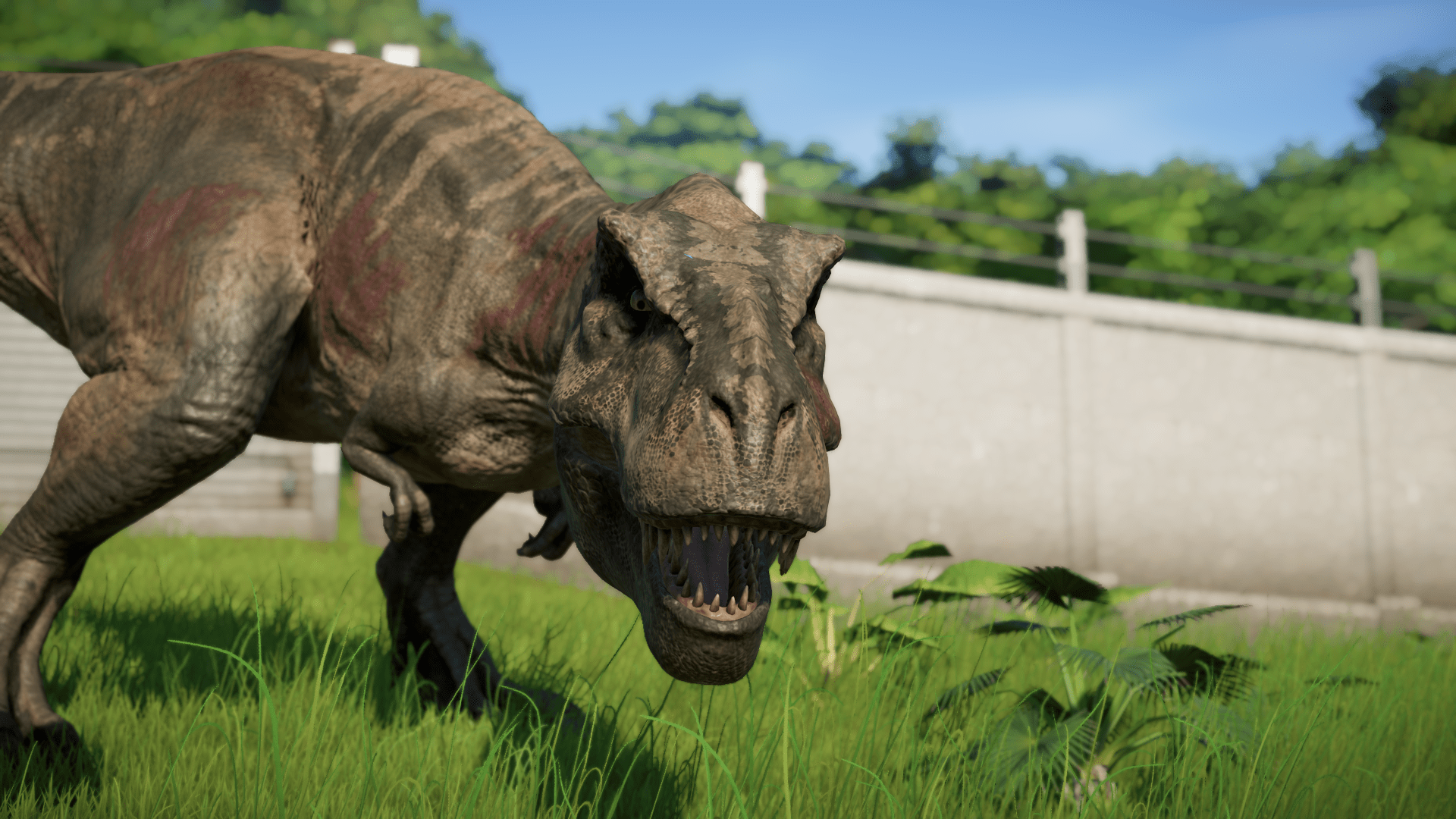 1920x1080 Rexy