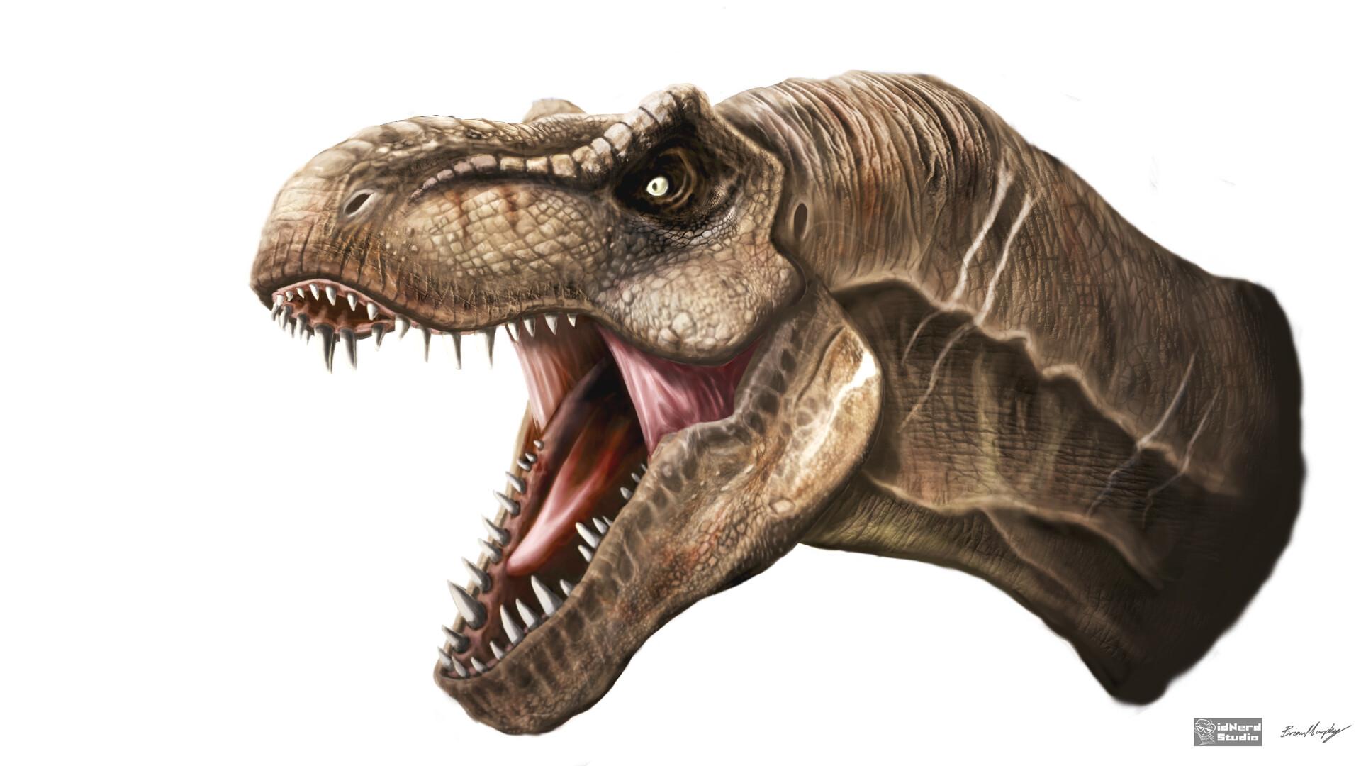 1920x1080 Rexy The Tyrannosaurus Rex, Brian J Murphy