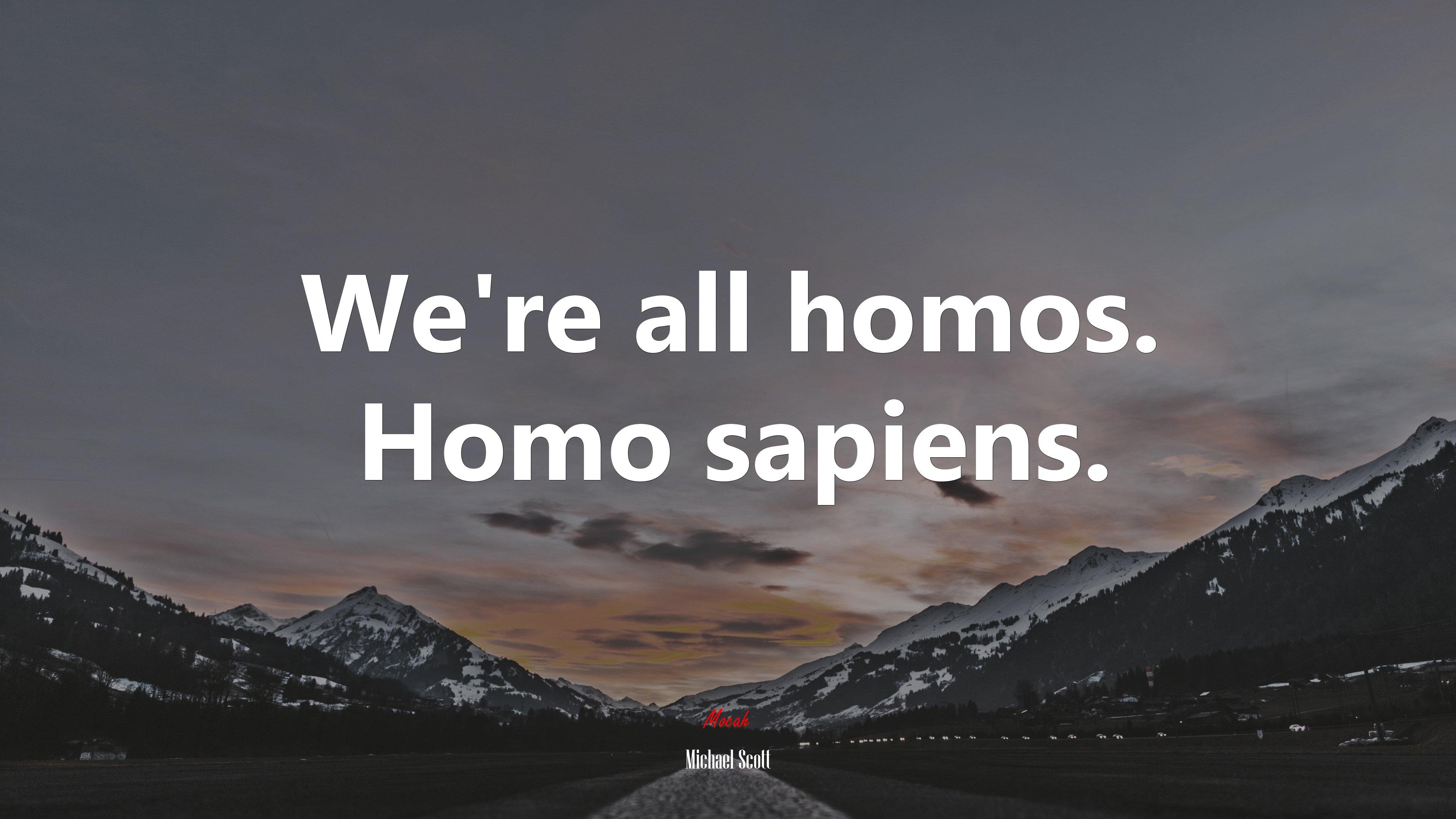 3840x2160 We're all homos. Homo sapiens. Michael Scott quote, 4k wallpaper HD Wallpaper