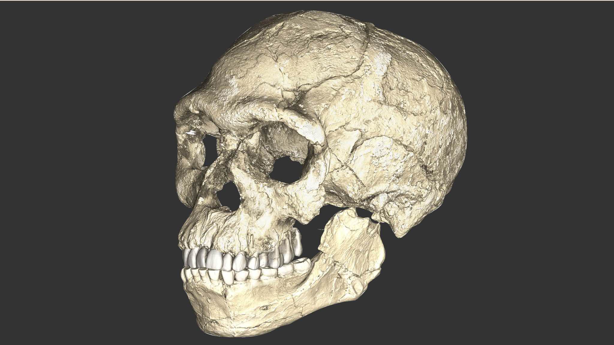 2048x1152 Homo sapiens 000 years older than thought