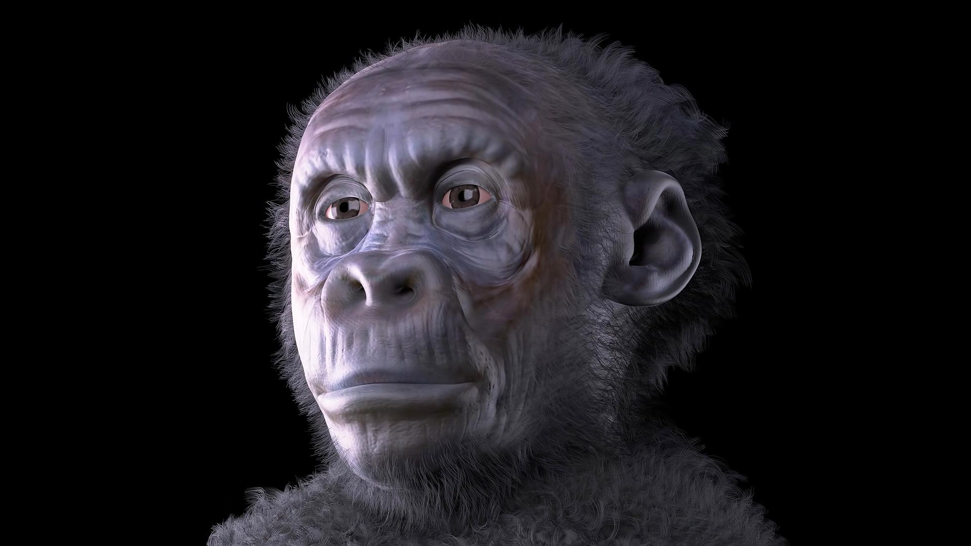1920x1080 Homo sapiens summary
