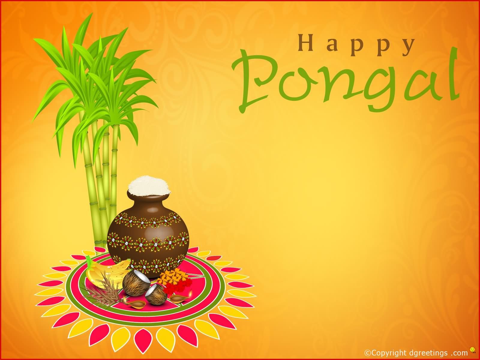 Happy Pongal Wallpapers - Top Free Happy Pongal Backgrounds -  WallpaperAccess