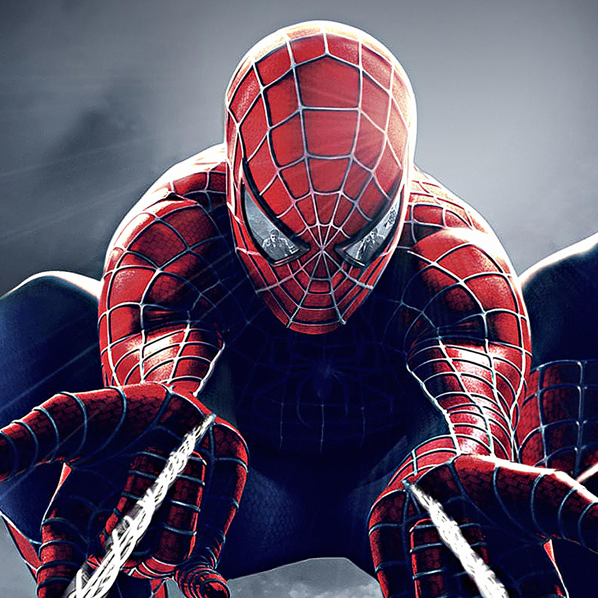 2048x2048 Spider Man Spiderweb iPad Air HD 4k Wallpaper, Image, Background, Photo and Picture