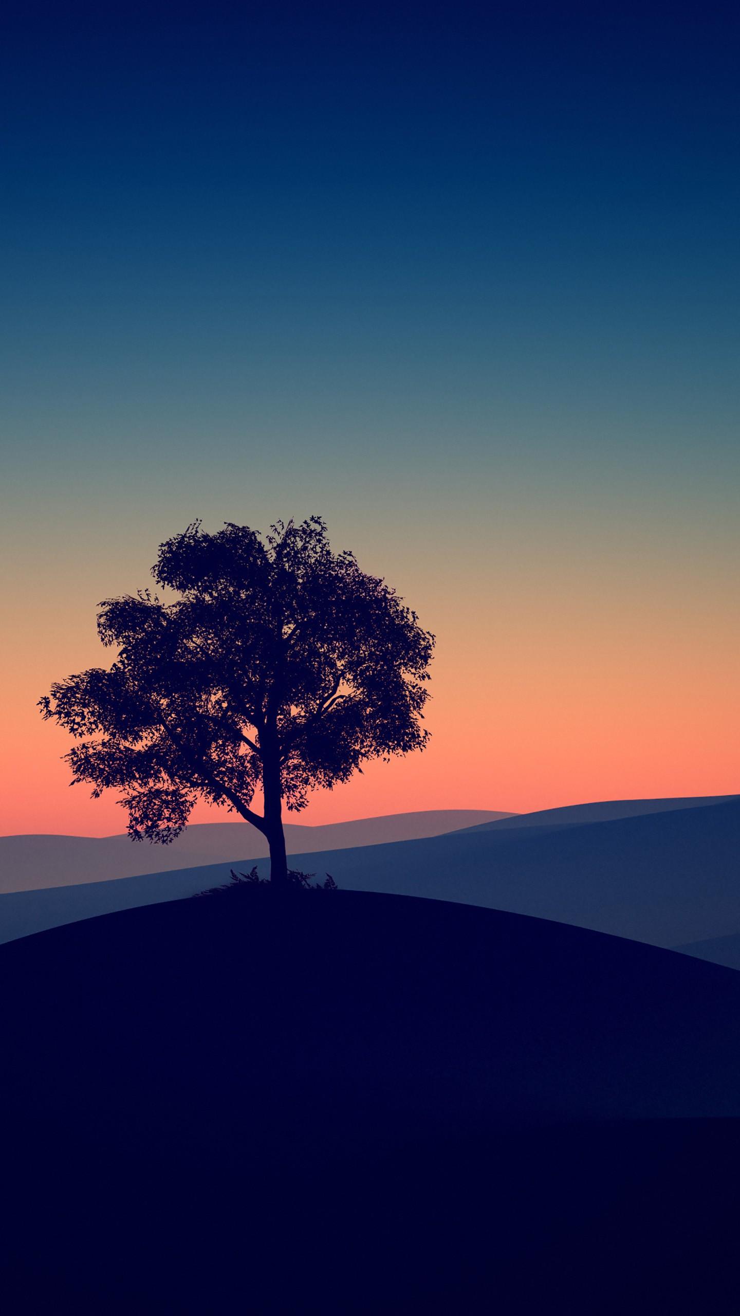 1440x2560 Tree Alone Dark Evening 4K HD Wallpaper