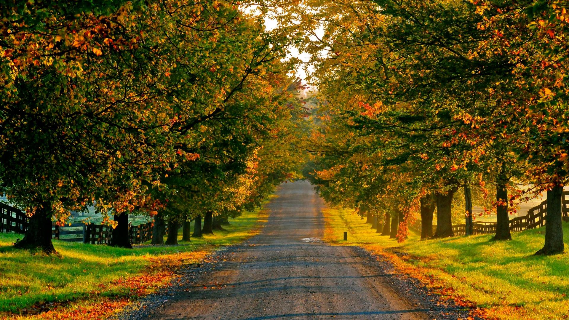 1920x1080 Free download autumn road wallpaper wallpaper Download this wallpaper [1920x1080] for your Desktop, Mobile & Tablet. Explore Fall Road Wallpaper. Fall Wallpaper Background, Free Fall Wallpaper, Fall Wallpaper For Computer
