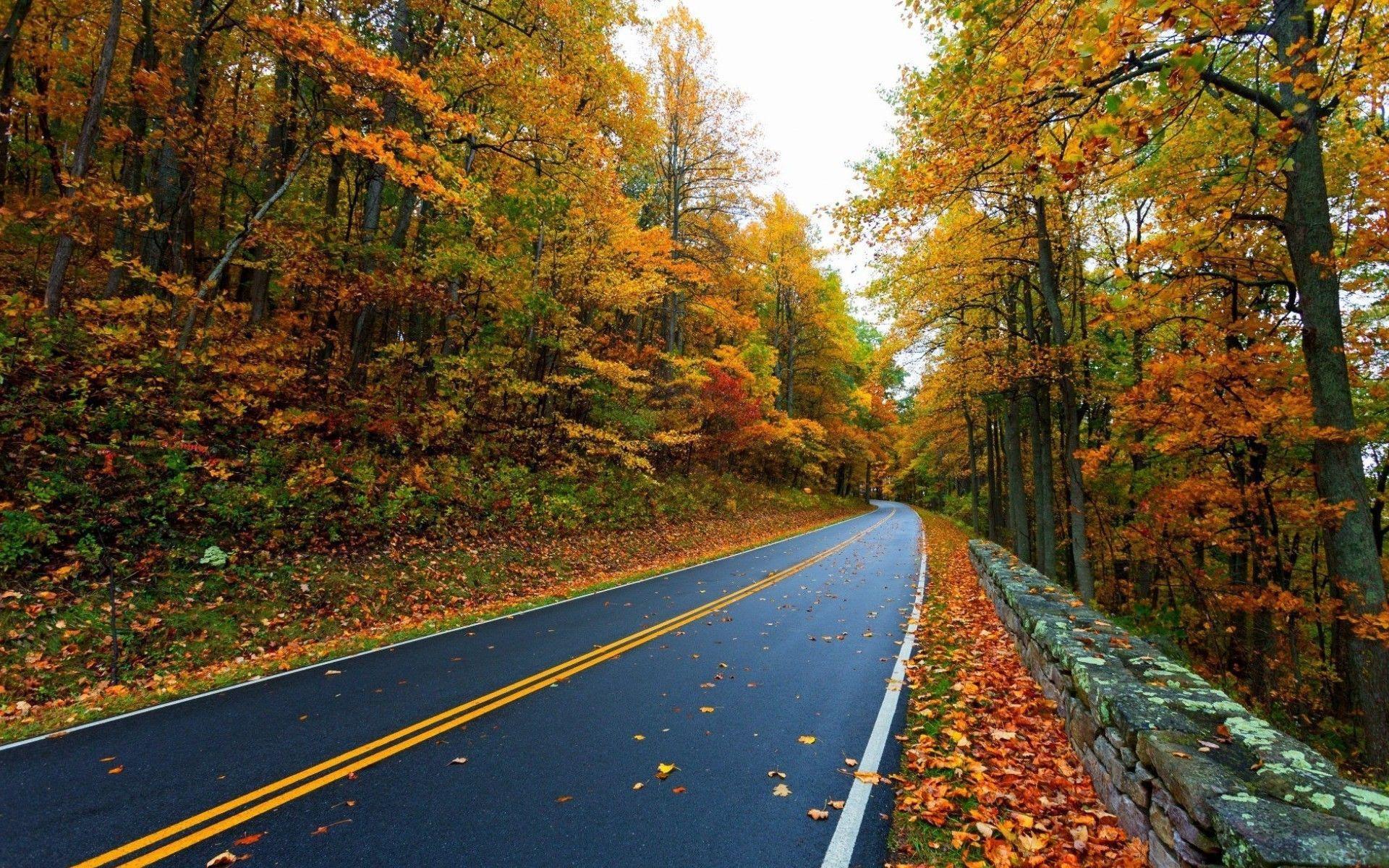 1920x1200 Nature Long Road Wallpaper