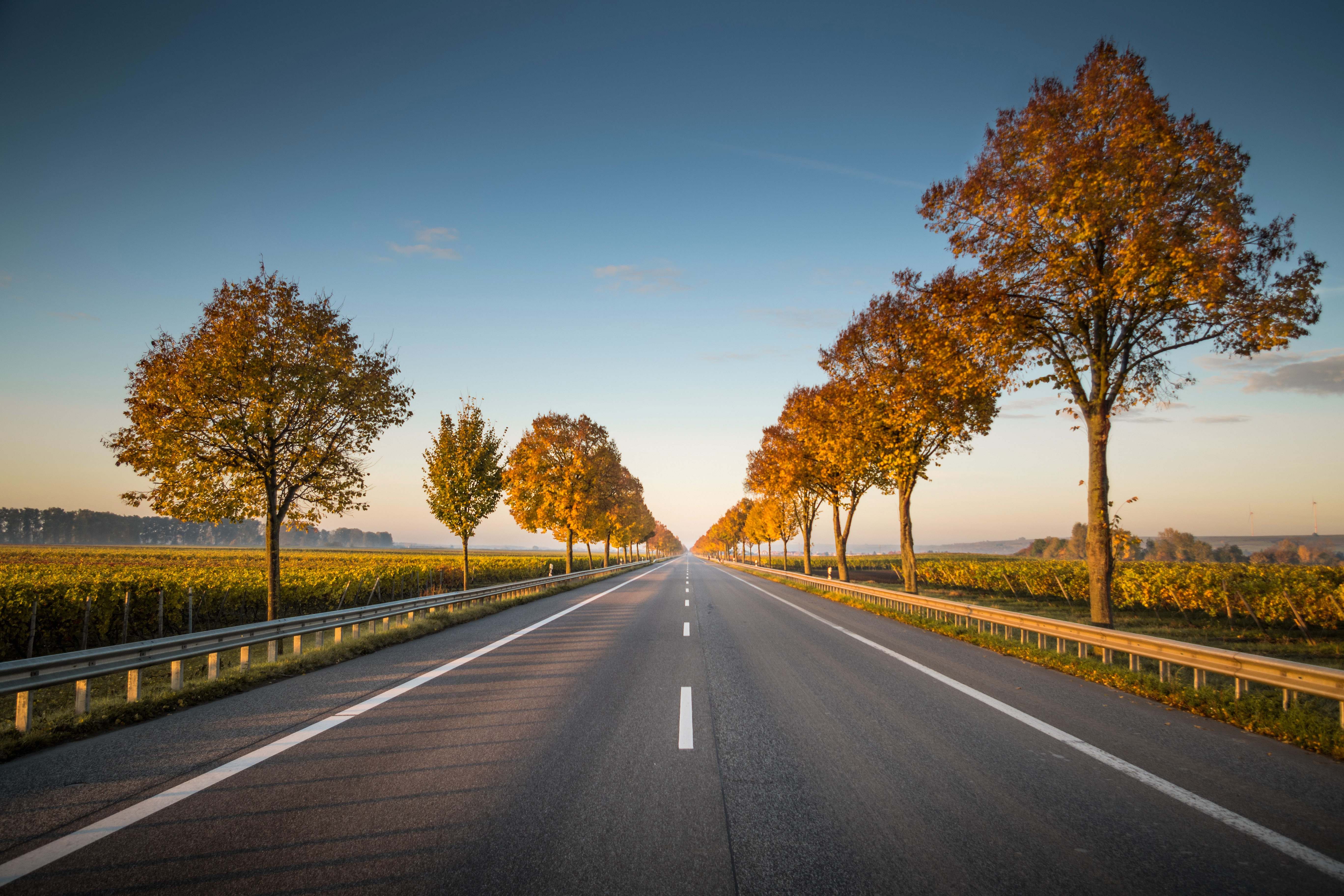 5472x3648 Highway Long Straight Road With Trees On The Side Nature Image Free Photo