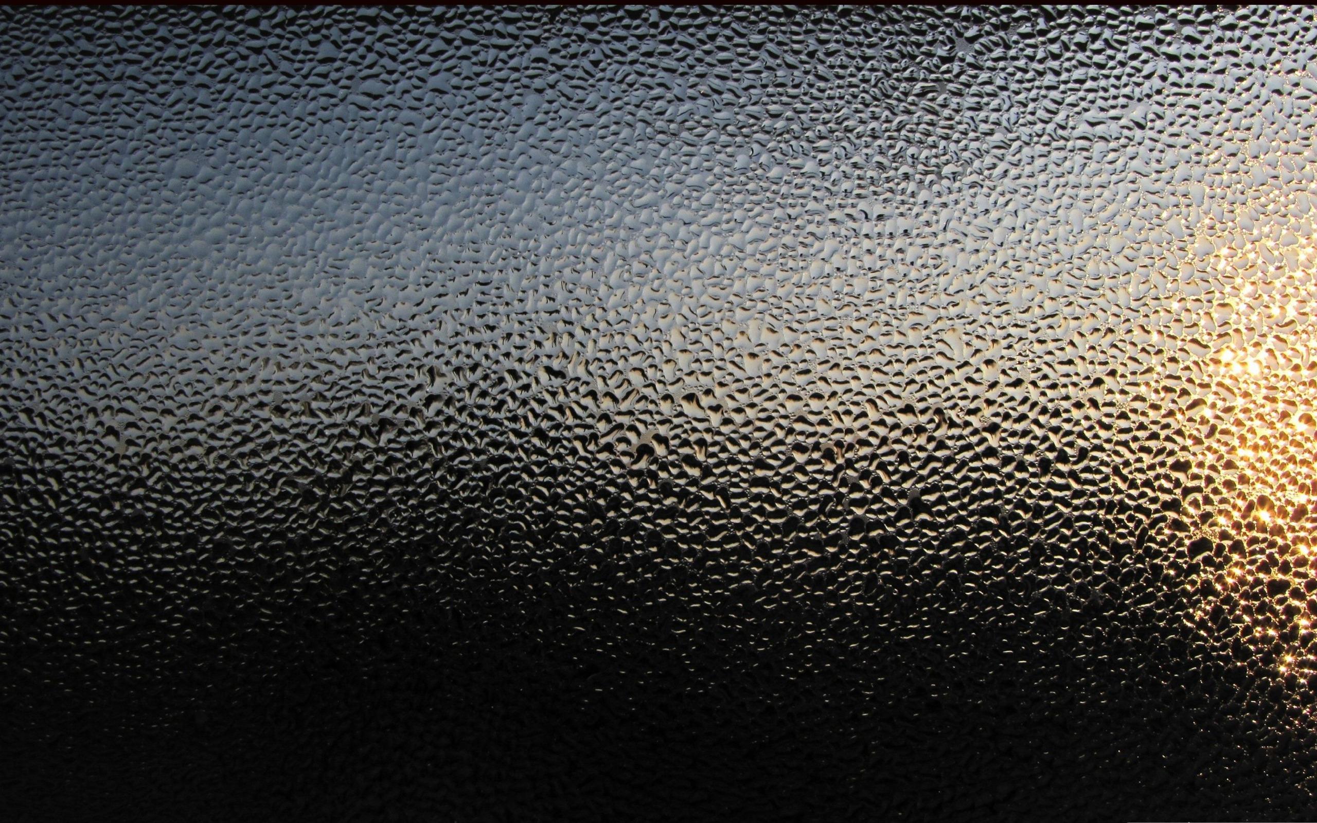 2560x1600 Condensation Drops Of Water Droplets Macro Photography HD Picture