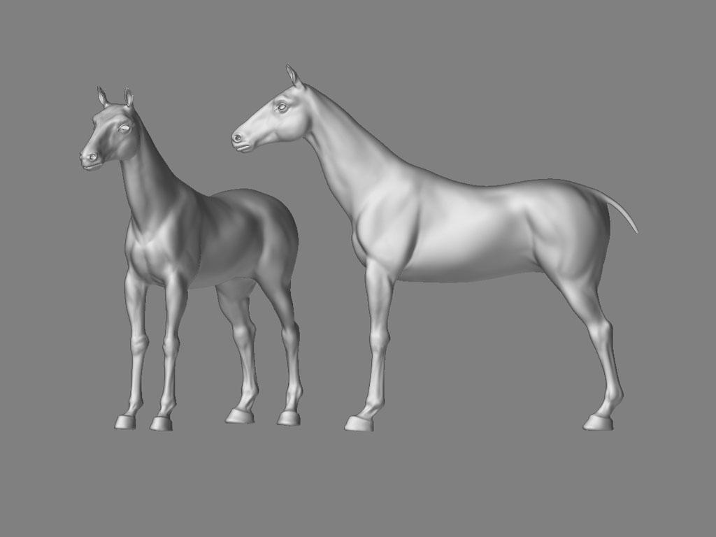 1024x768 Animal Anatomy