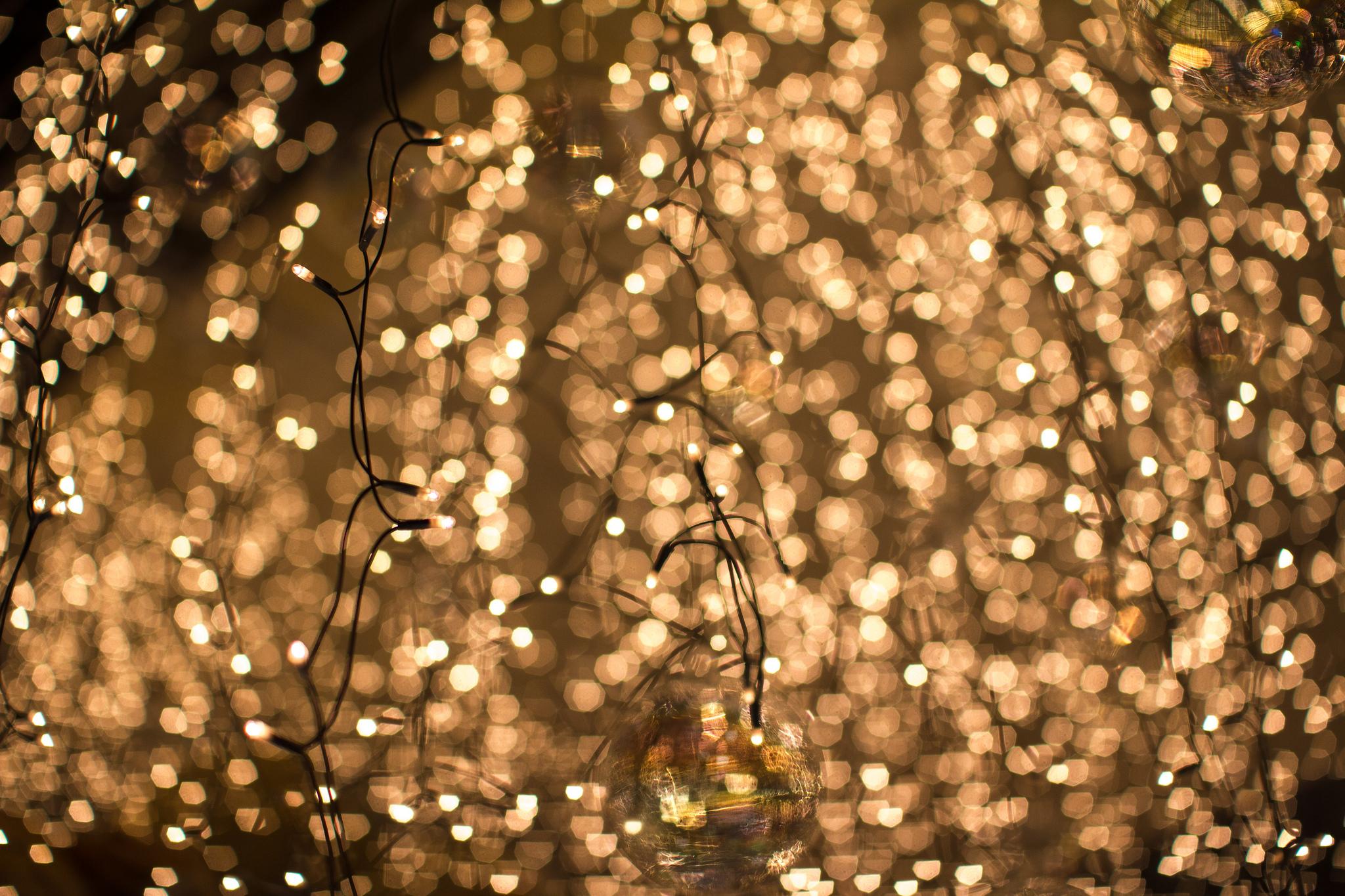 Fairy Lights Wallpapers - Top Free Fairy Lights Backgrounds