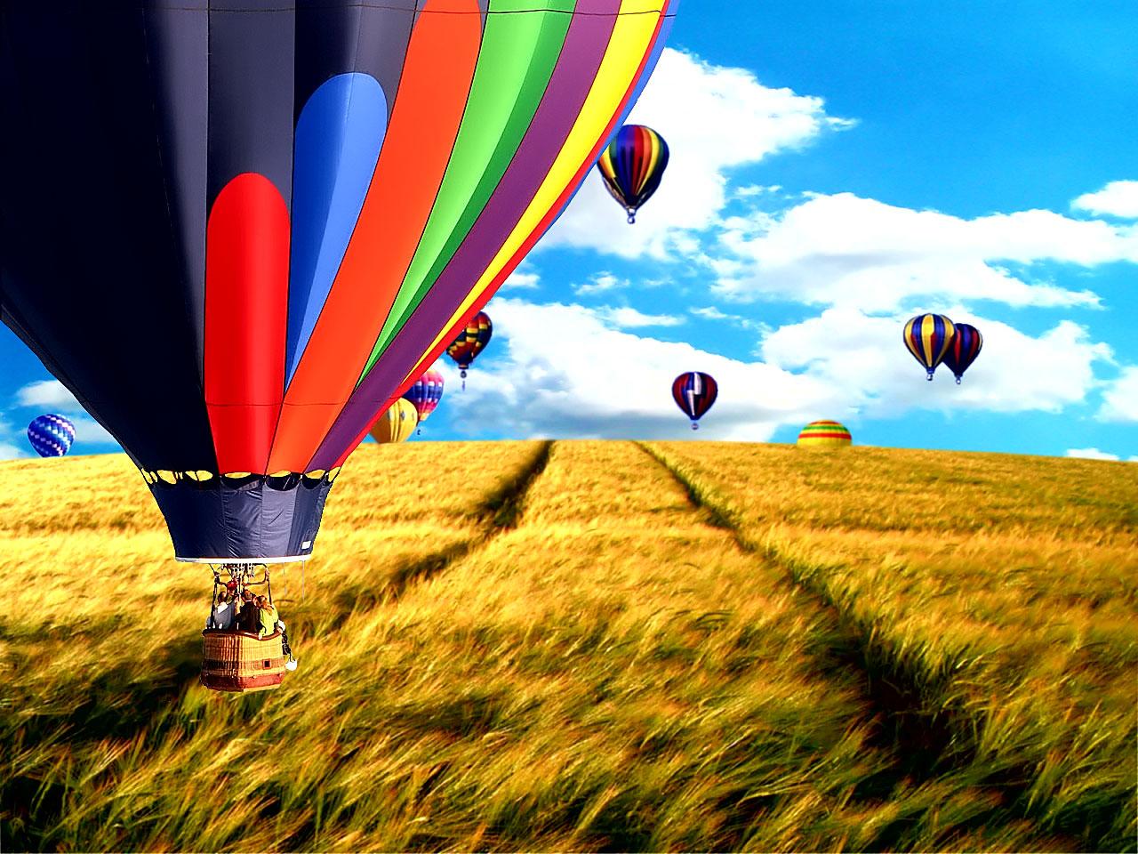 1280x960 Fly Free HD wallpaper
