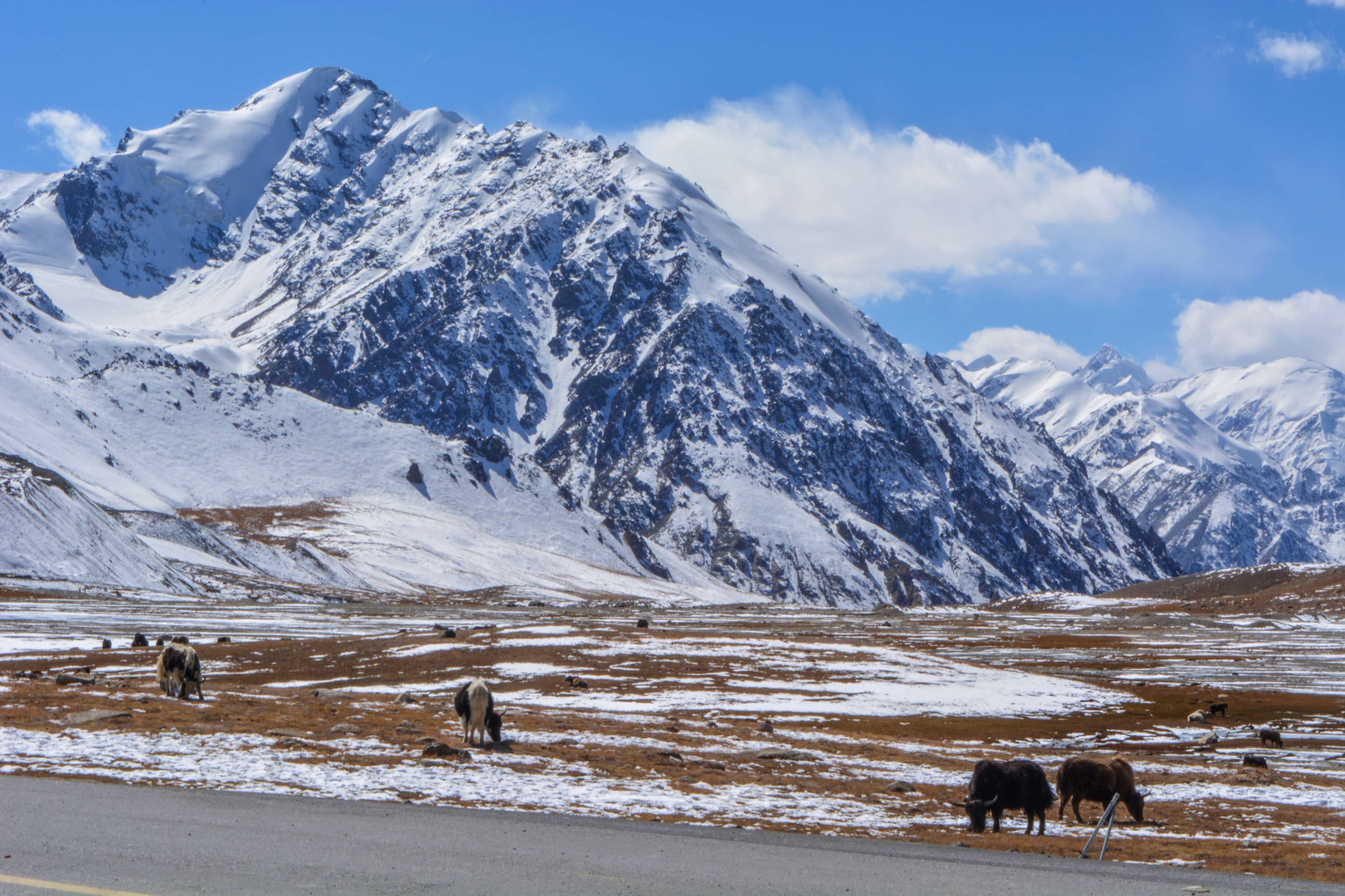 3840x2560 china, clouds, khunjerab, mountains, pakistan, sky, snow mountain, yak 4k wallpaper HD Wallpaper