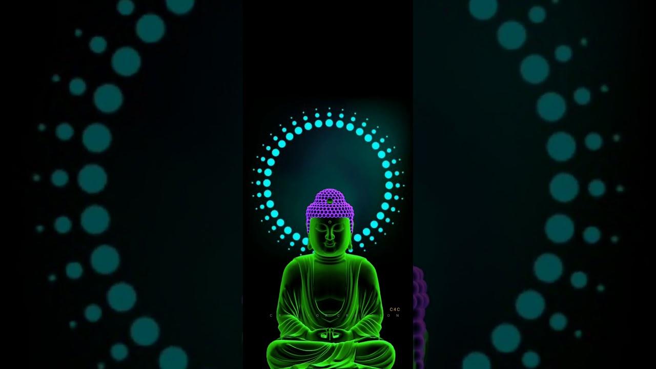 1280x720 Buddha Real Life Quotes for Mind. Buddha Whatsapp Status Quotes for Peace. Buddha Status Mind