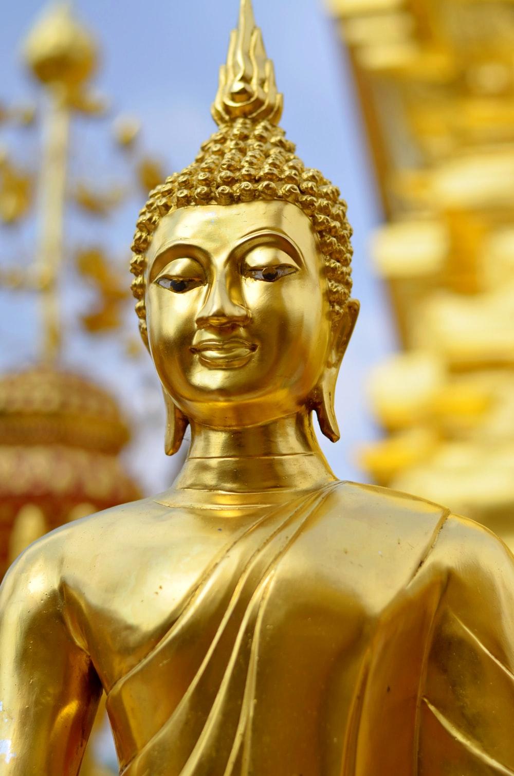 1000x1510 gold buddha statue in cave photo