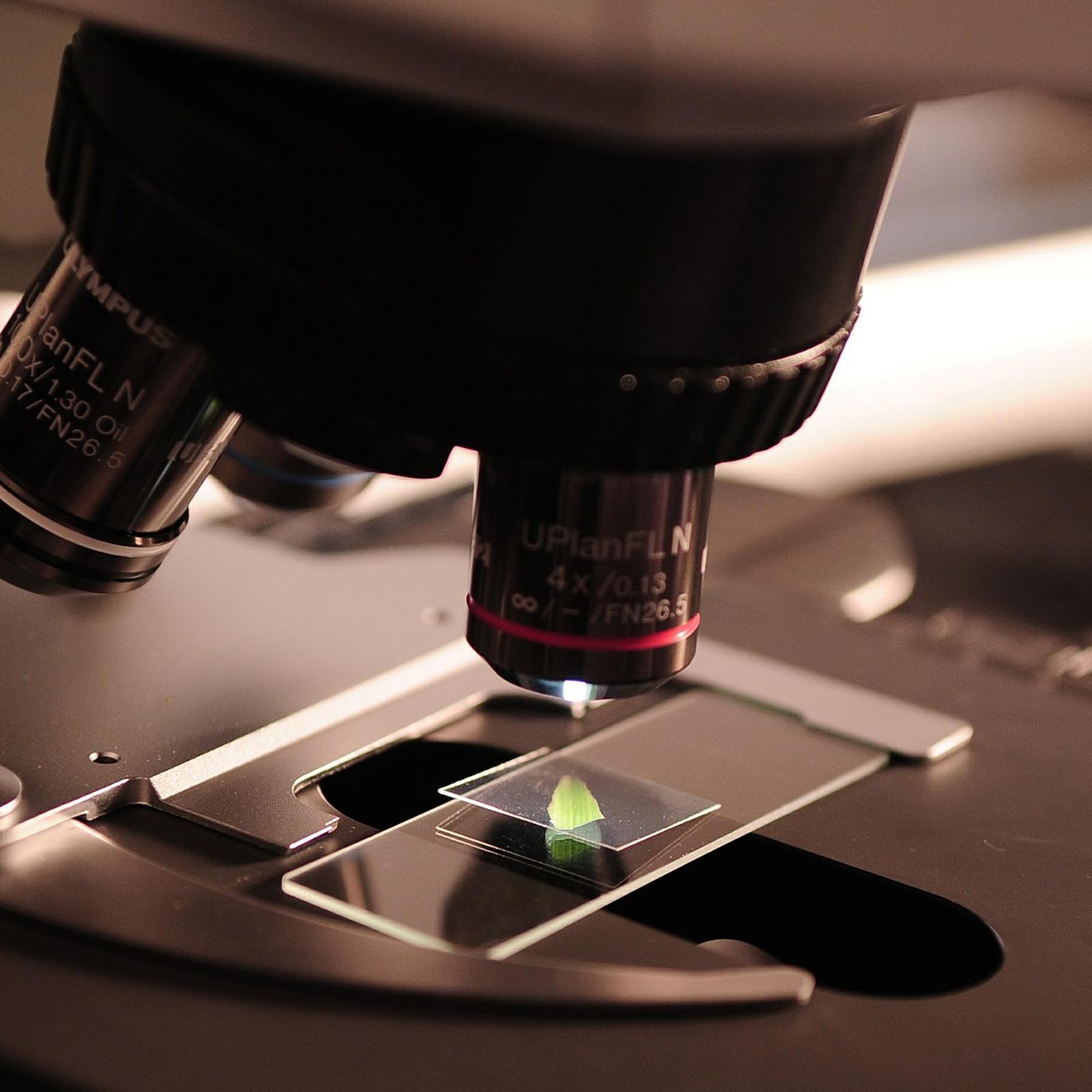 1600x1600 Basic Science and Technology Startup College